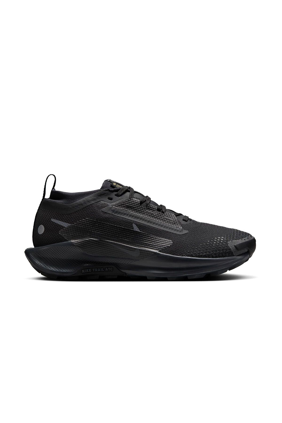 Nike PEGASUS TRAIL 5 GORE-TEX