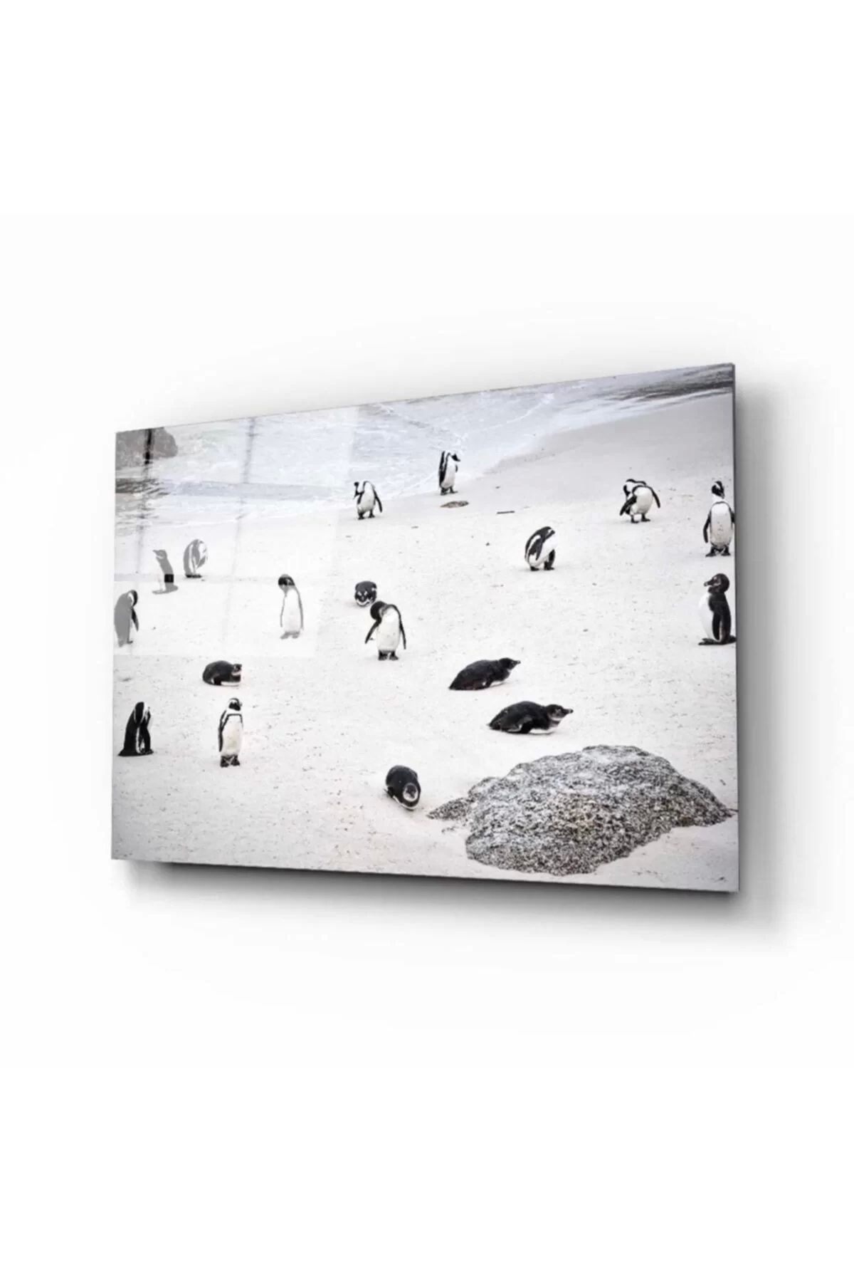ÖYKÜ VE YİĞİT Penguen Cam Tablo