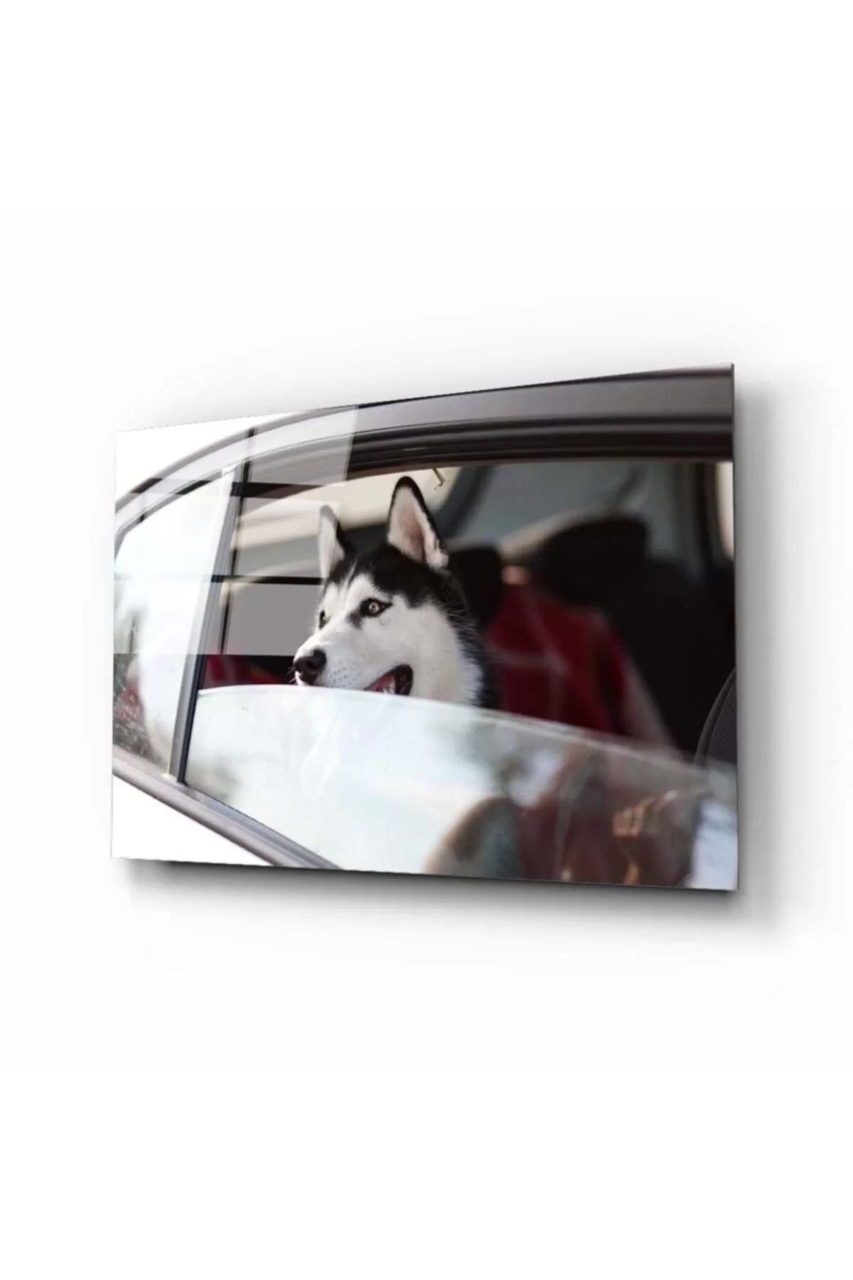 ÖYKÜ VE YİĞİT Köpek 4 Cam Tablo