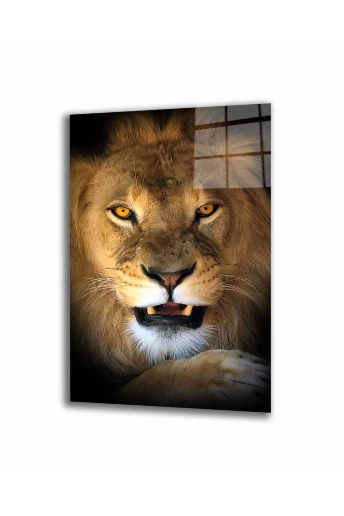 ÖYKÜ VE YİĞİT Aslan 15 Hayvan Cam Tablo