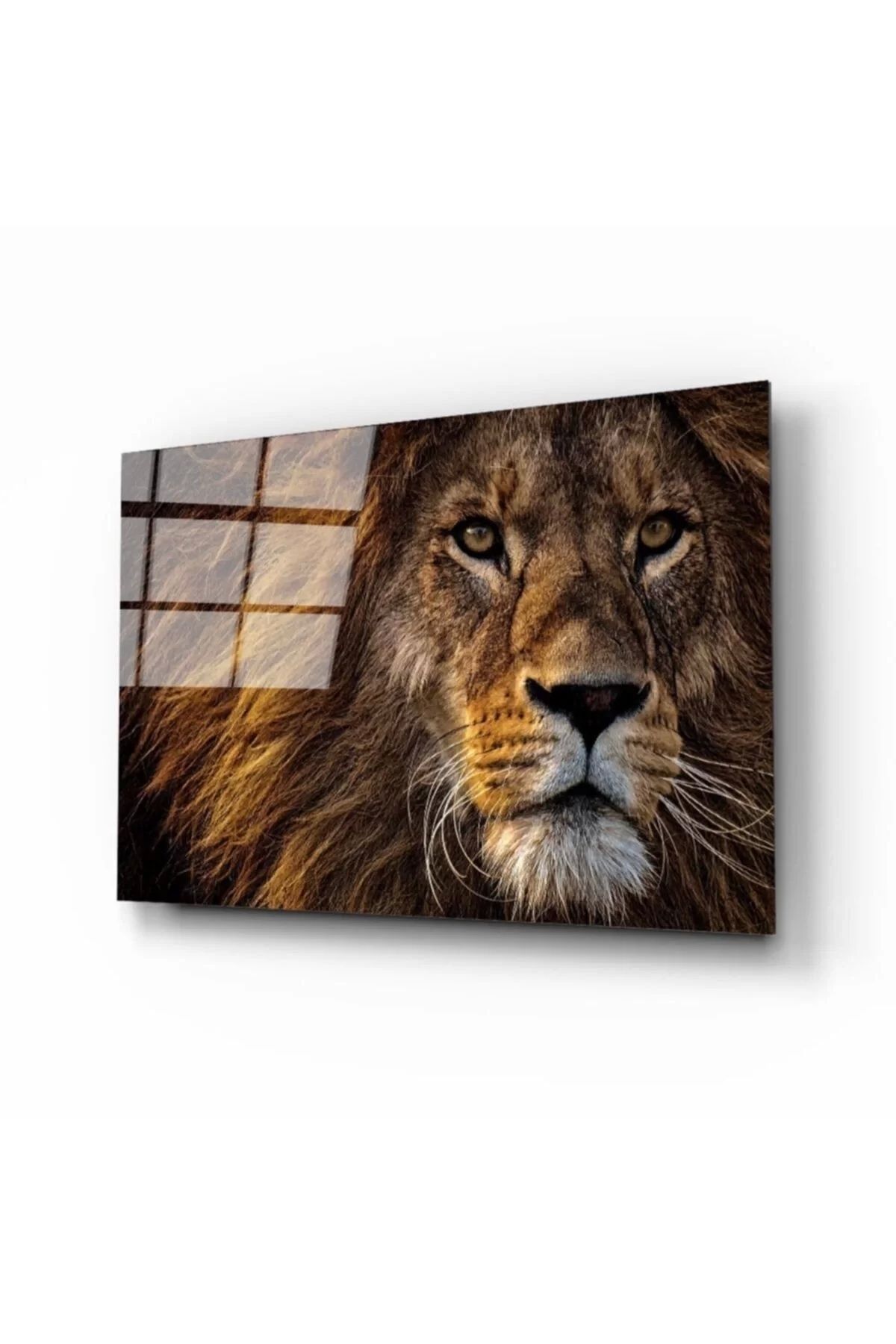 ÖYKÜ VE YİĞİT Aslan 11 Cam Tablo