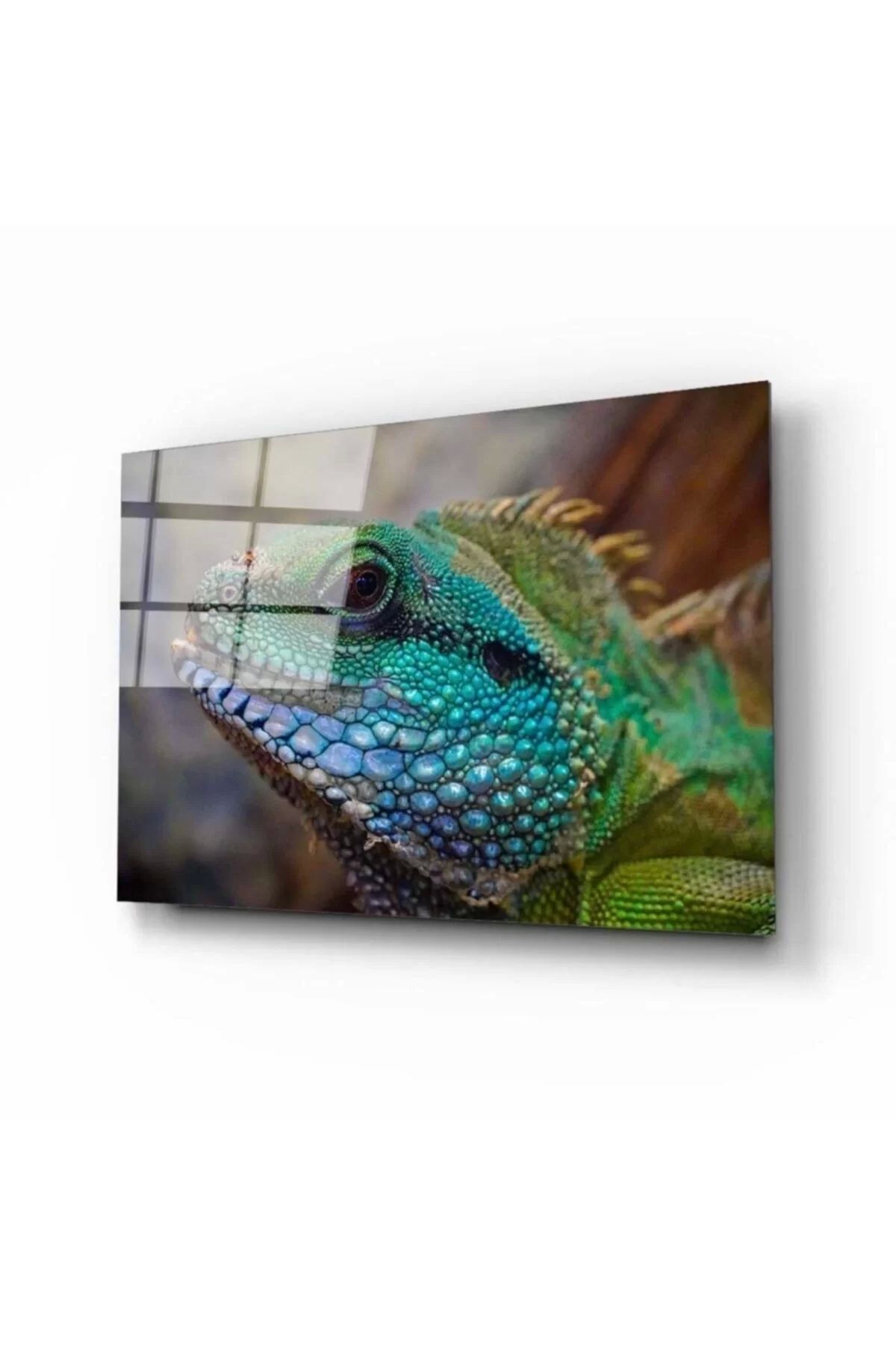 ÖYKÜ VE YİĞİT Iguana Cam Tablo
