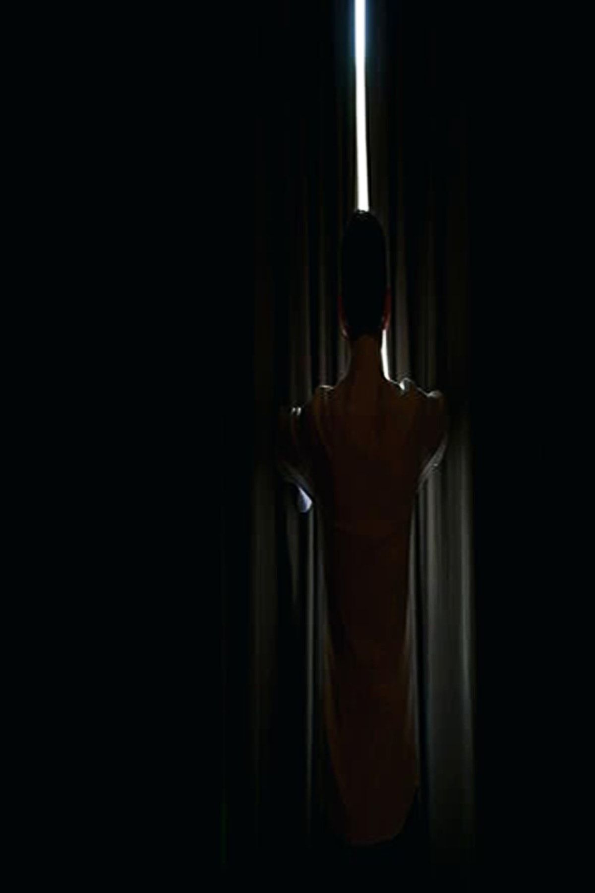 farbateks-Black Color Thick Sunshade Blackout Blackening Background Curtain Flat Planting 3
