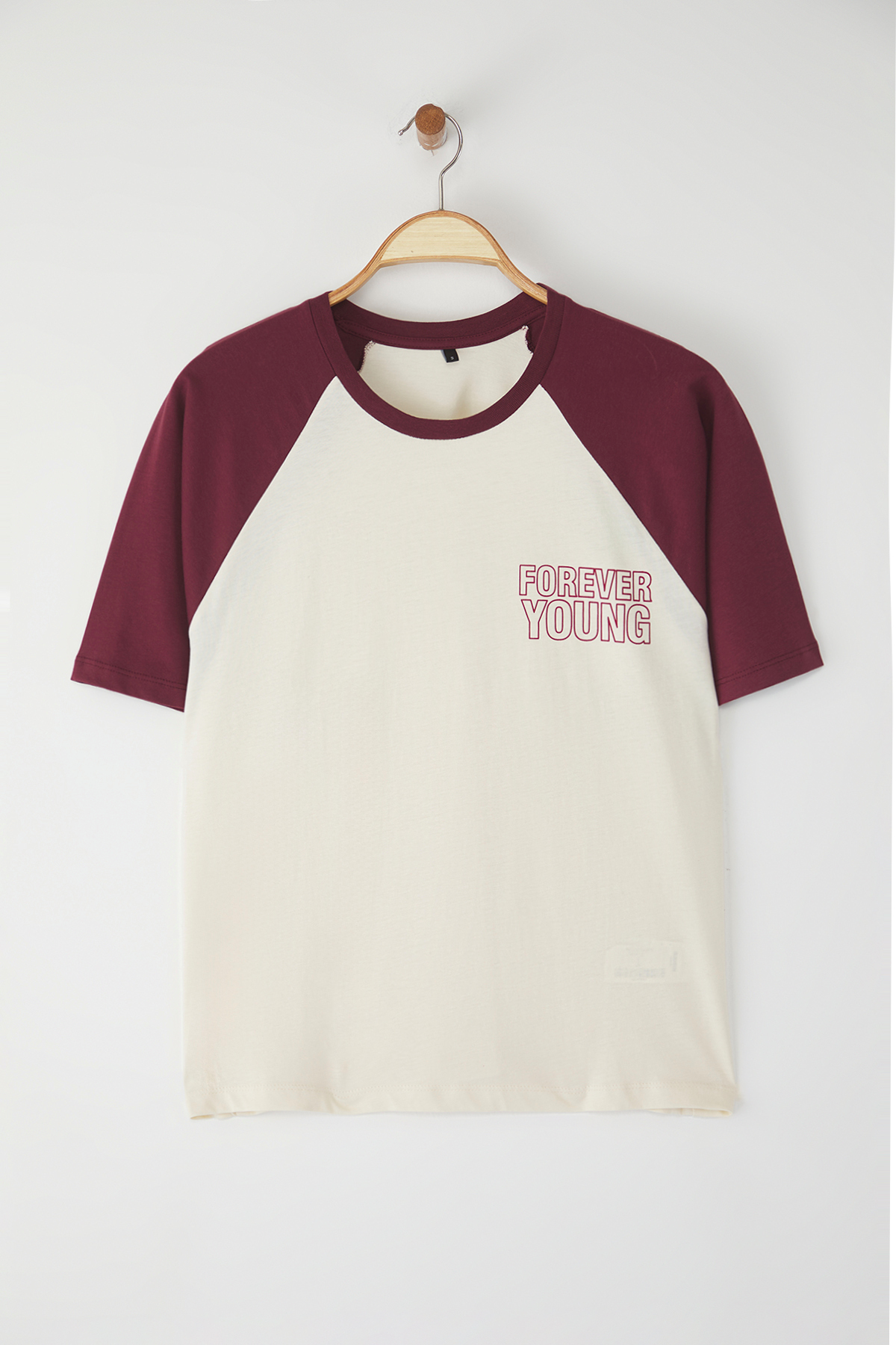 Trendyolmilla  Taş %100 Kalın Pamuklu Renk Bloklu Sloganlı Relaxed/Rahat Kesim Örme T-Shirt TWOSS24TS00134 - Görsel 5