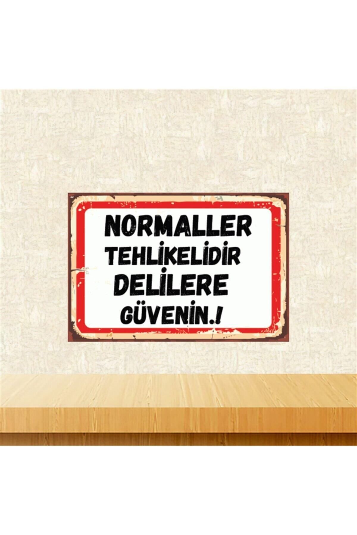 TAKIFİX Delilere Güvenin 20-30 Cm Retro Ahşap Poster Tkfx4460