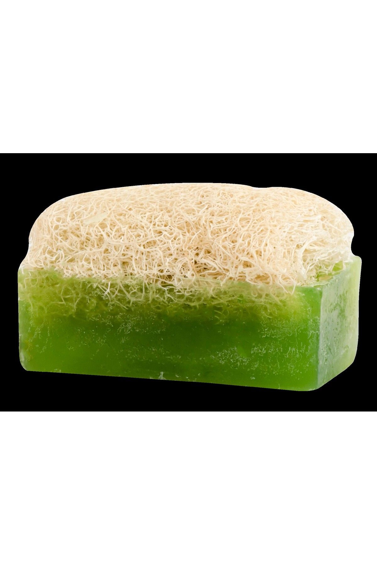 SWORTH PROFESSİONAL SOLİNGEN ŞEKİL KABAK LİFLİ SABUN ALOEVERA