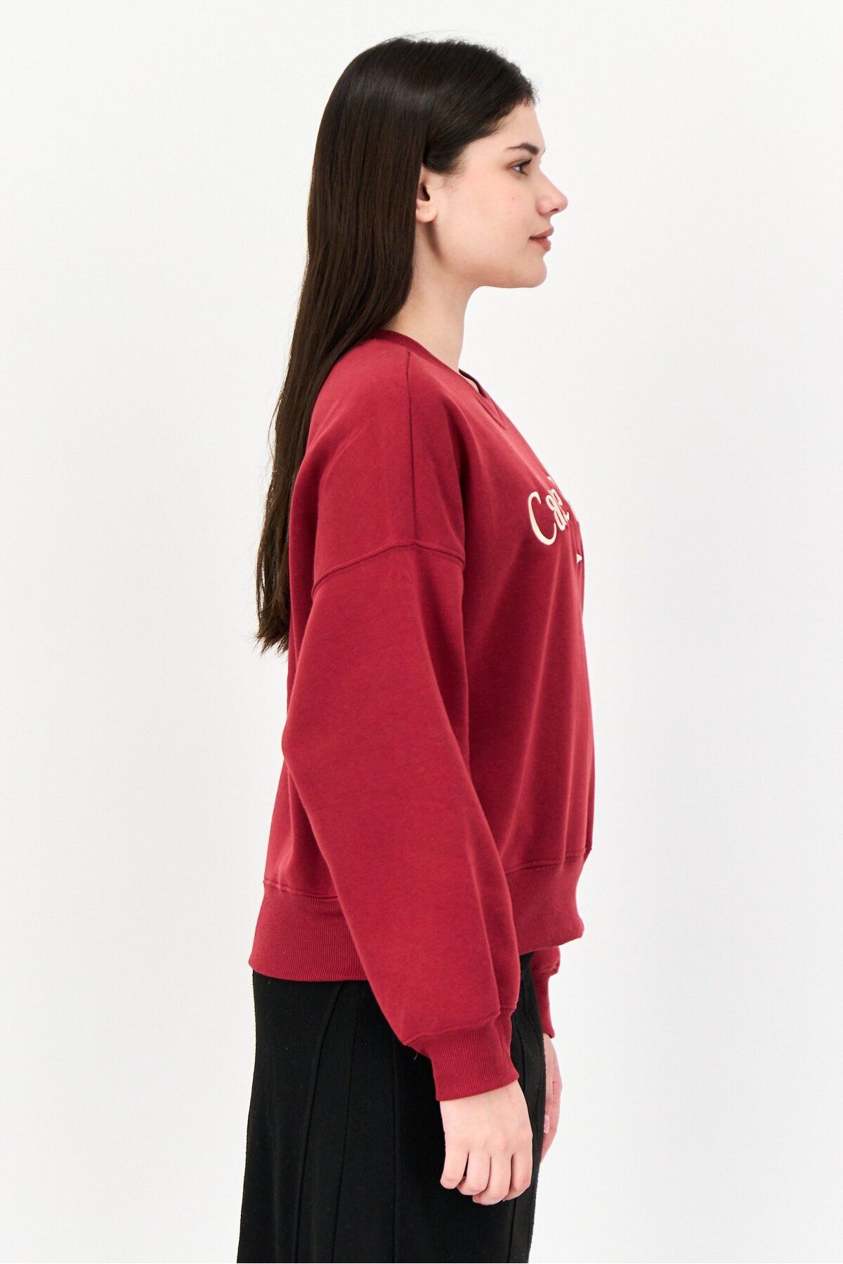 No Comment-Women Crew Neck Long Sleeve Embroidered Sweatshirt, Maroon 2
