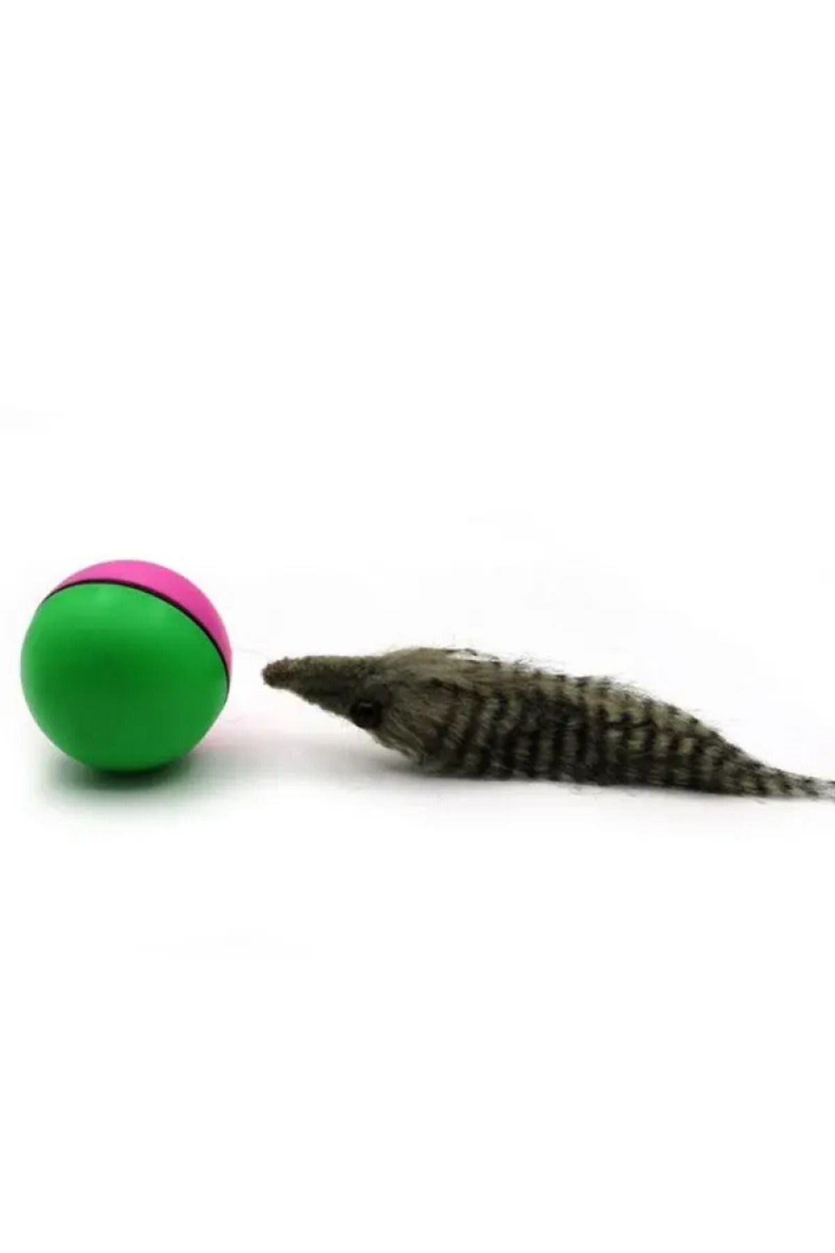 leyla sanat sanata yeni bir bakış açısı-Animated Raccoon Cat Dog Toy 24242415274 5