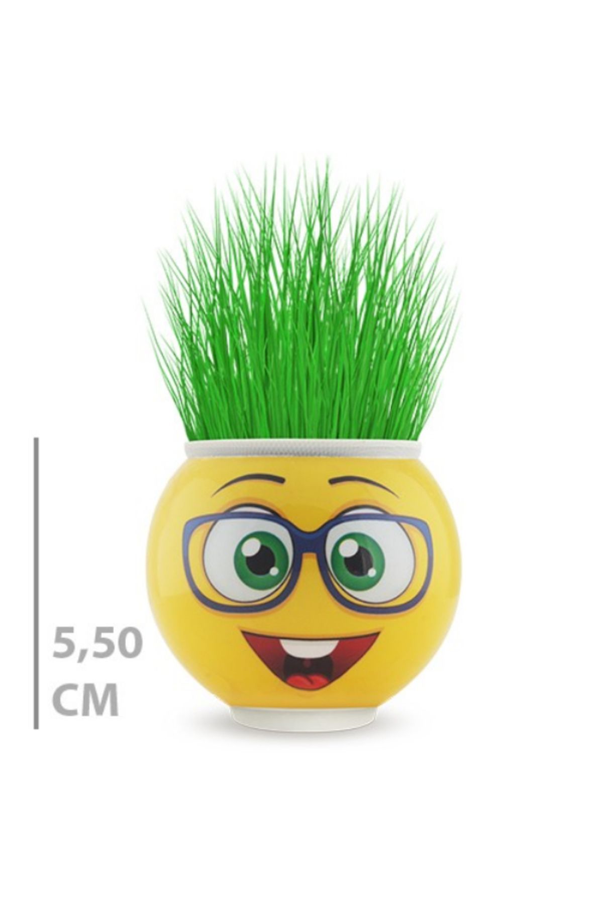 BulutRetail Çim Adam Saksı Emoji Figürlü 1 Adet