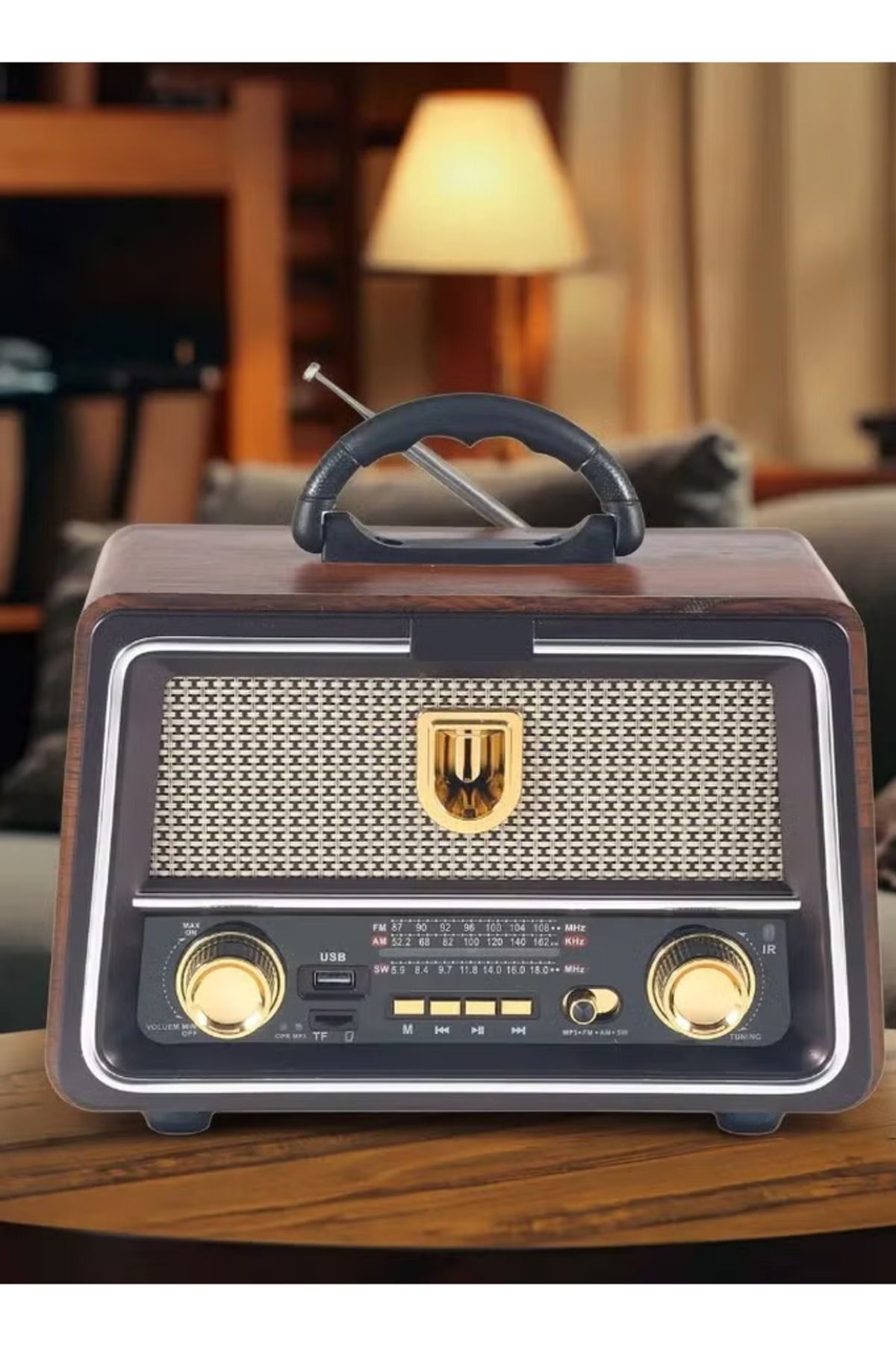 Denx-Dx2442 Rechargeable Hi-fi Radio With Remote Control, Large Capacity Battery 7