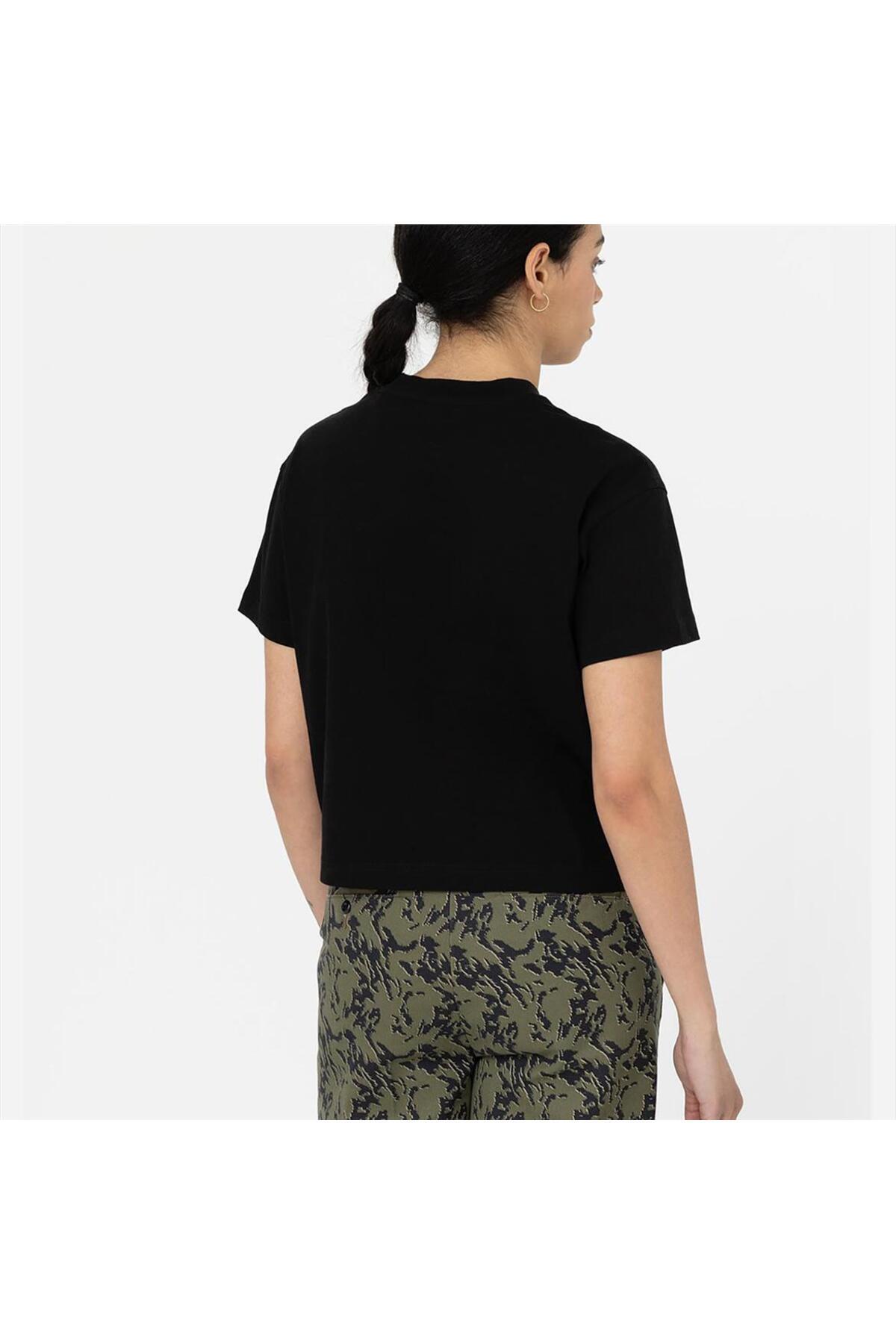 ディッキーズ Dickies 【 S/S Summerdale Tee W Women 】 レディース ディッキーズ Dickies 【 S/S Summerdale Tee W Women