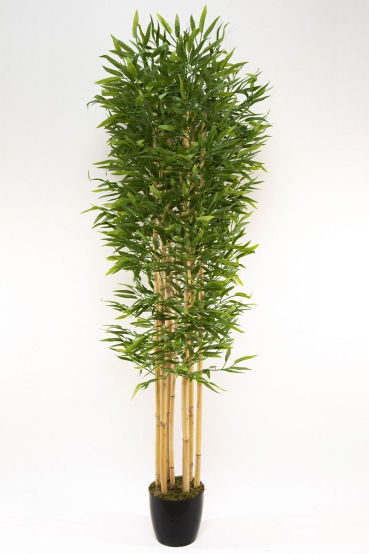 Altun Çiçekcilik Yapay Ağaç Yapraklı Bambu 6 Bambu'lu 160 Cm