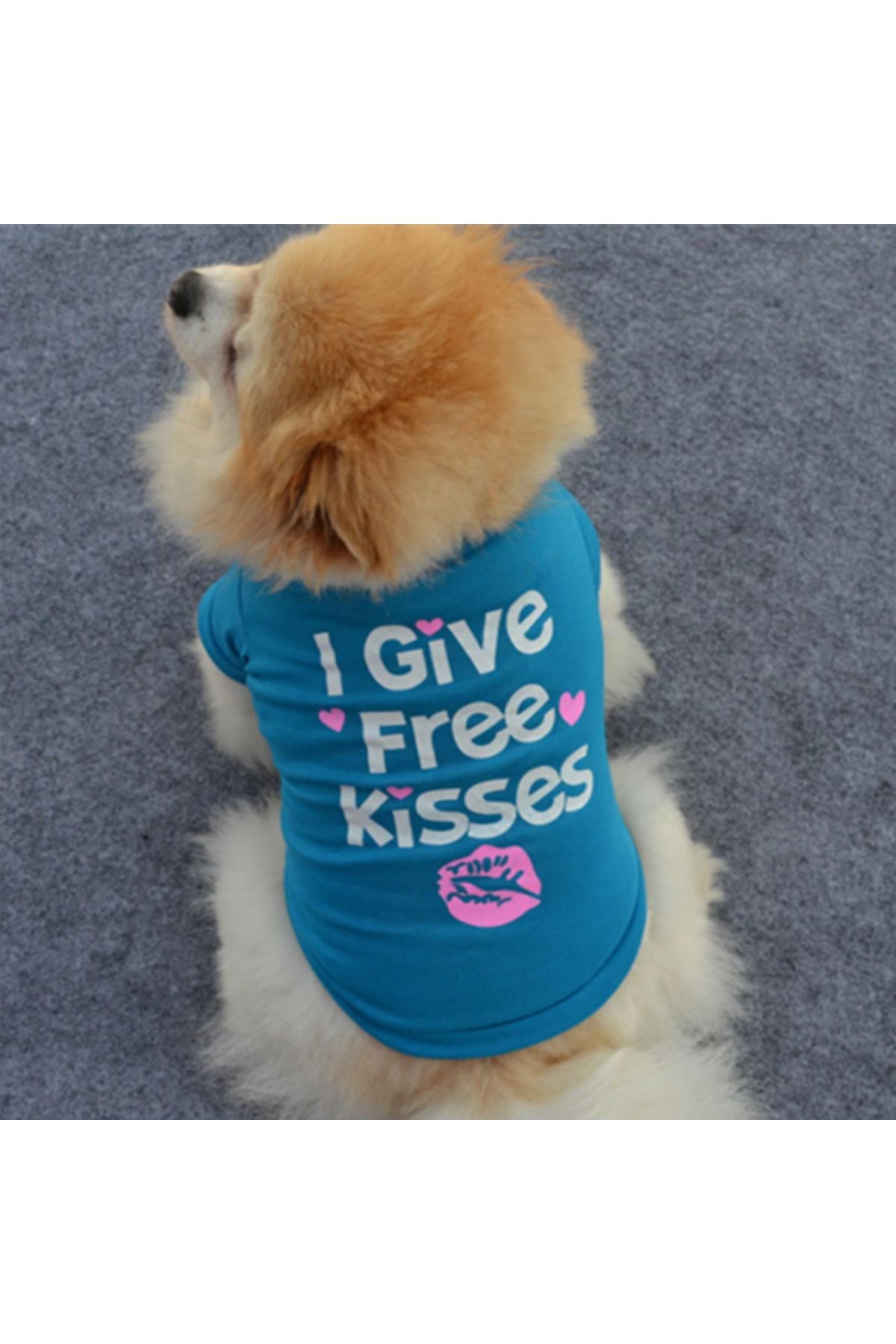 Proxy Paws-Summer Colorful Tshirt for Small Size Dogs 4