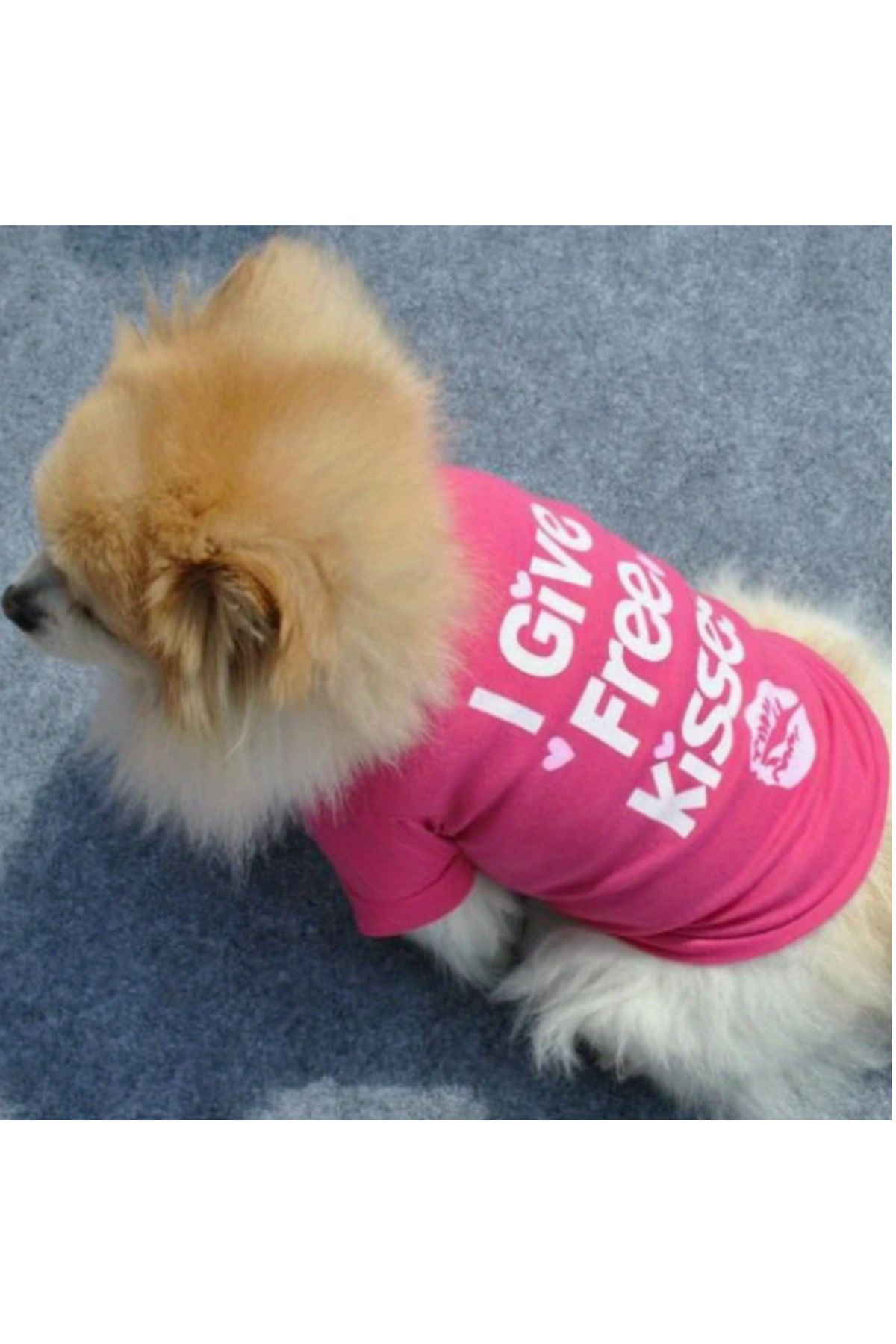 Proxy Paws-Summer Colorful Tshirt for Small Size Dogs 3