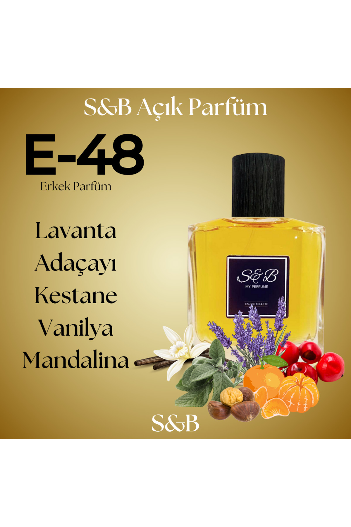 ادکلن  E48100ML