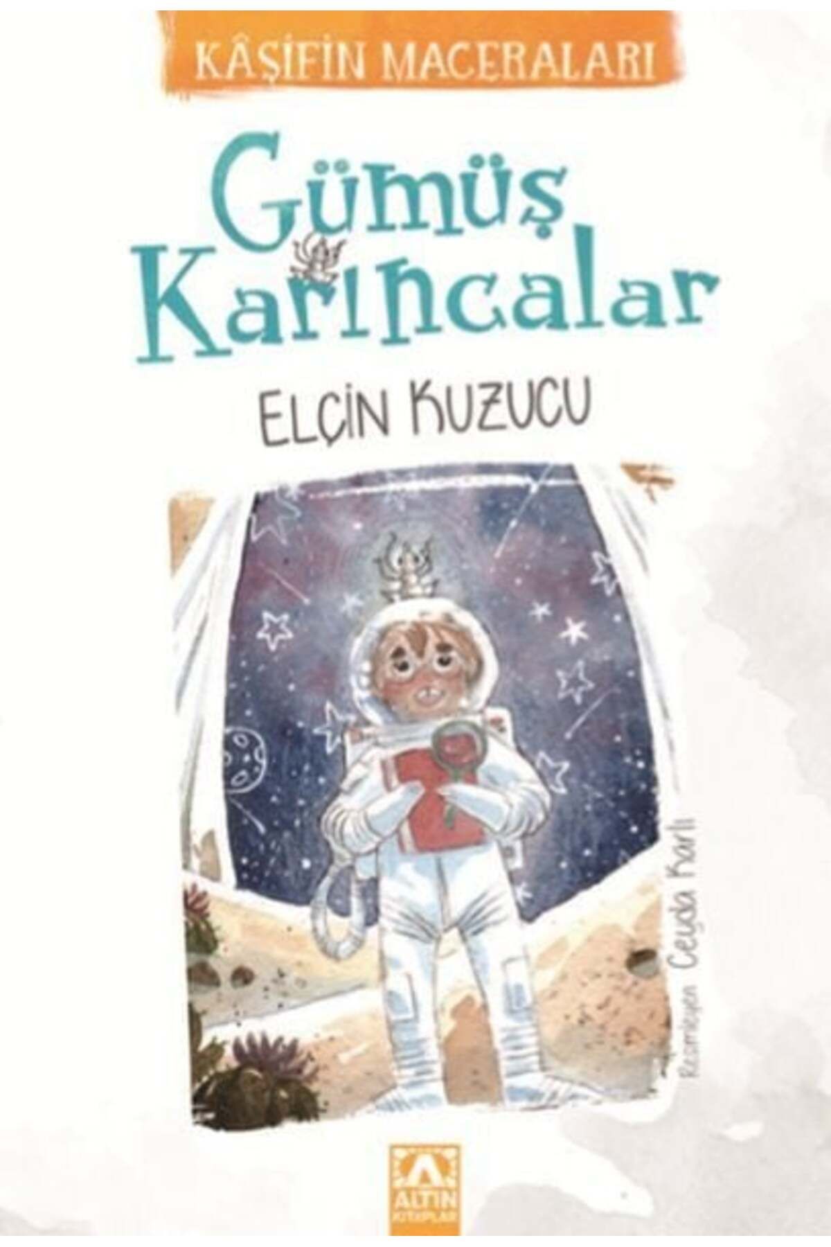 Destek Yayınları Gümüş Karıncalar