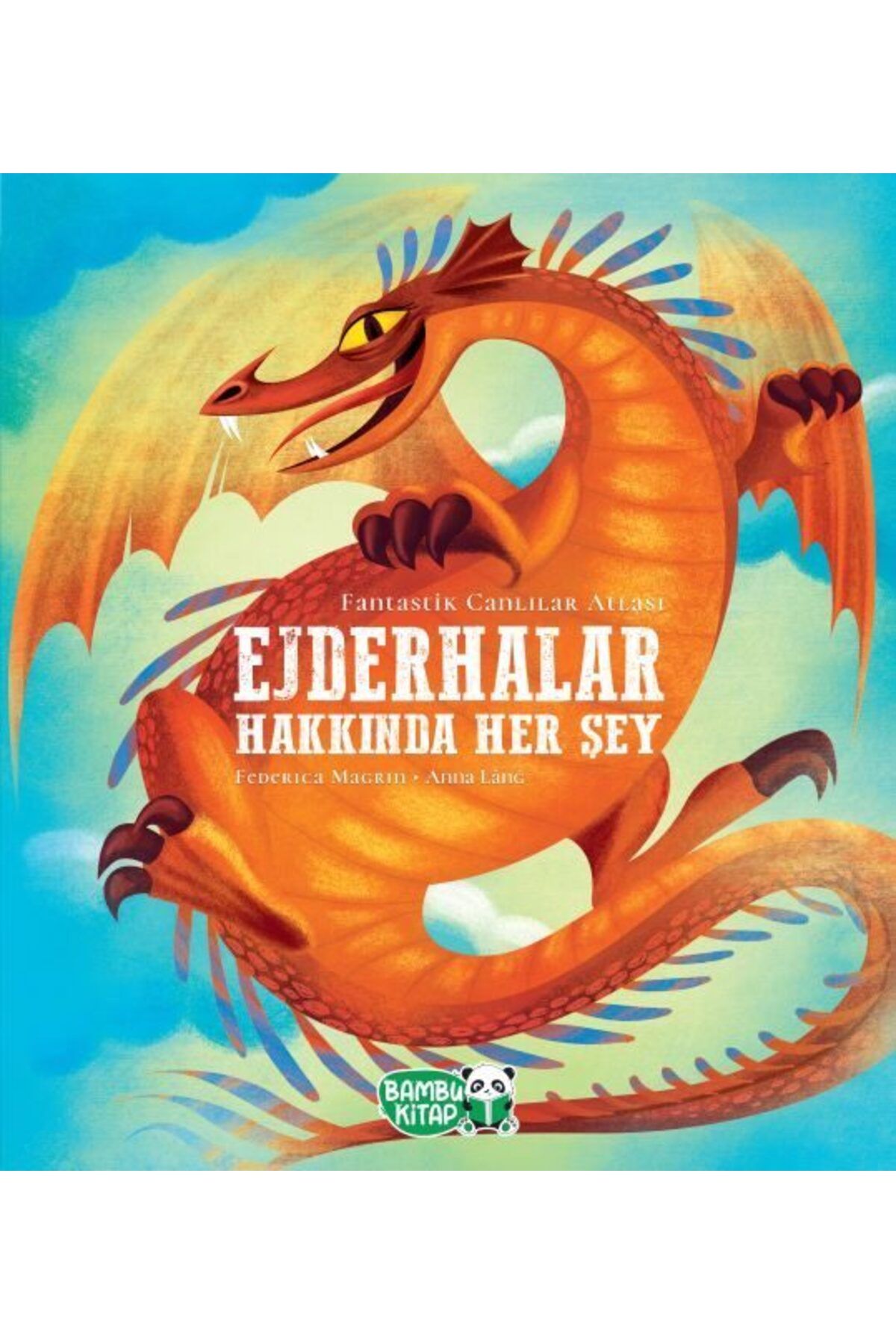 Karatay Yayınları Ejderhalar Hakkında Her Şey