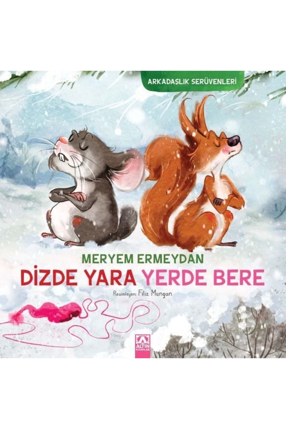 Destek Yayınları Arkadaşlık Serüvenleri Dizde Yara Yerde Bere