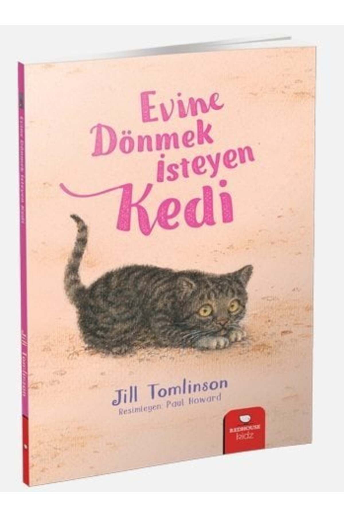 Destek Yayınları Hayvan Öyküleri Serisi Evine Dönmek İsteyen Kedi