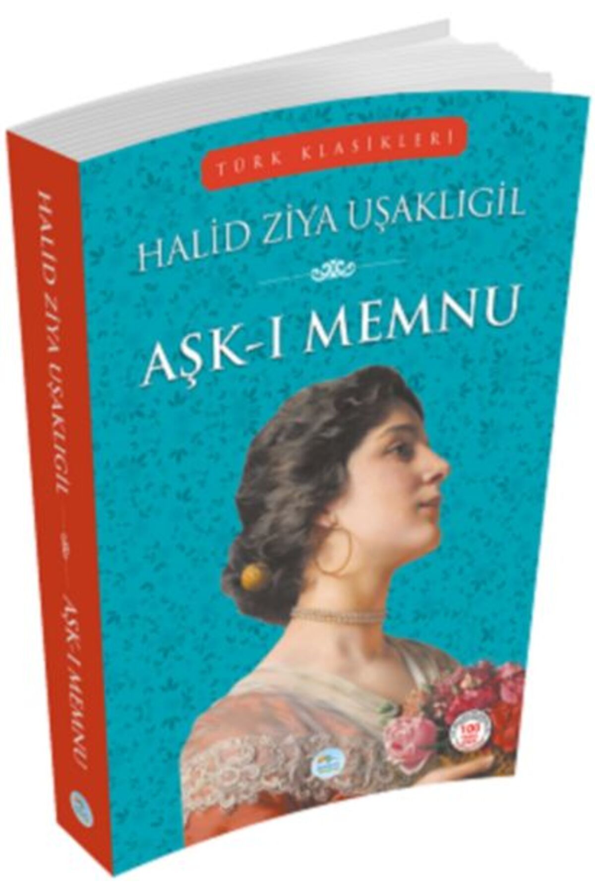 Destek Yayınları Türk Klasikleri Aşkı Memnu