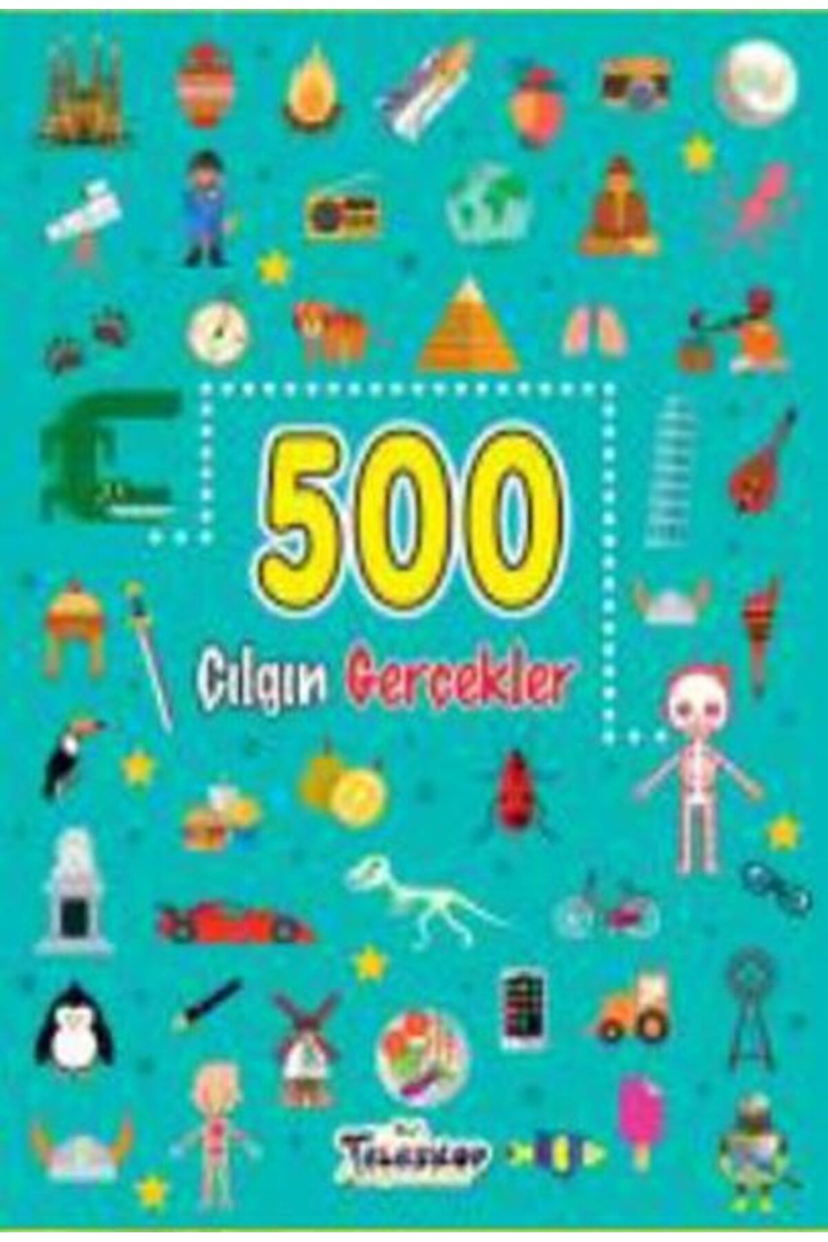 Destek Yayınları 500 Çılgın Gerçekler