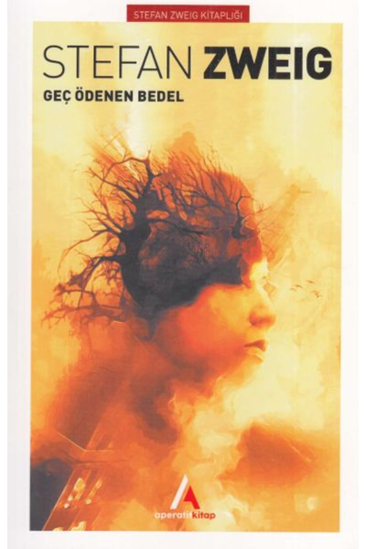 Karatay Yayınları Geç Ödenen Bedel