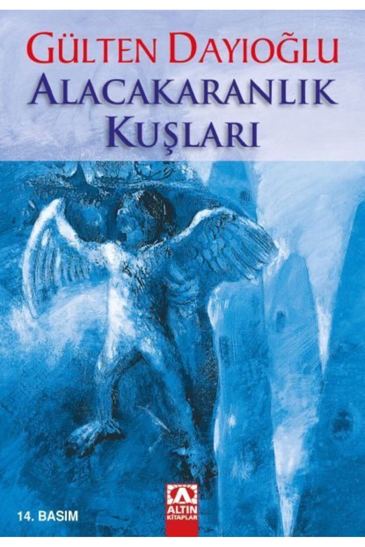 Destek Yayınları Alacakaranlık Kuşları