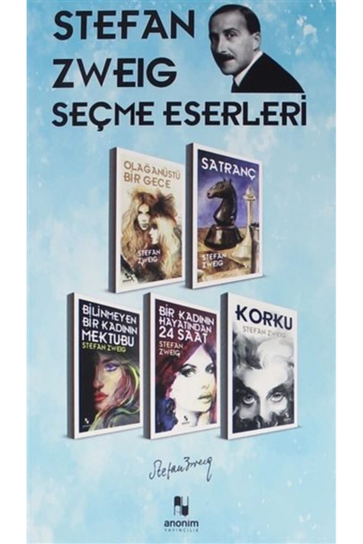 Destek Yayınları Stefan Zweig Seçme Eserleri 5 Kitap Kutu