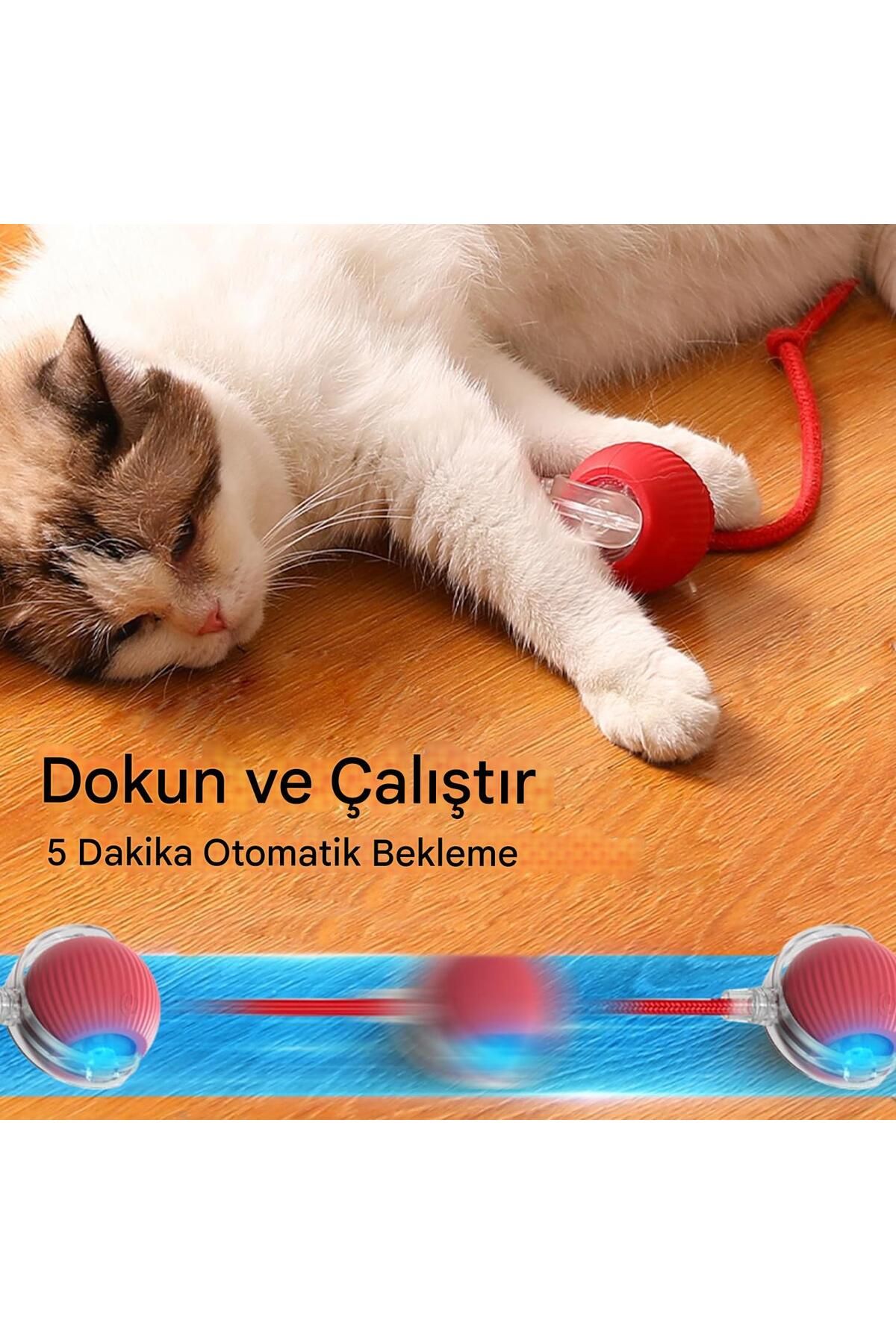 Generic-Smart Automatic Moving Cat and Dog Toy |   Silicone Material, Charged, Three Modes 7