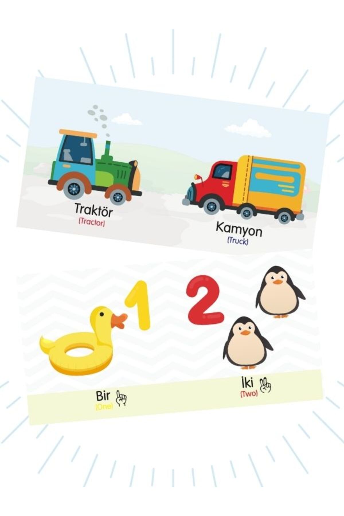 Kids Babies Minik Kitaplarım Bebeğimin Minik Kitapları Türkçe Ingilizce Set 12 Kitap 10,5x 10,5cm fotoğrafı 2 (önizleme)