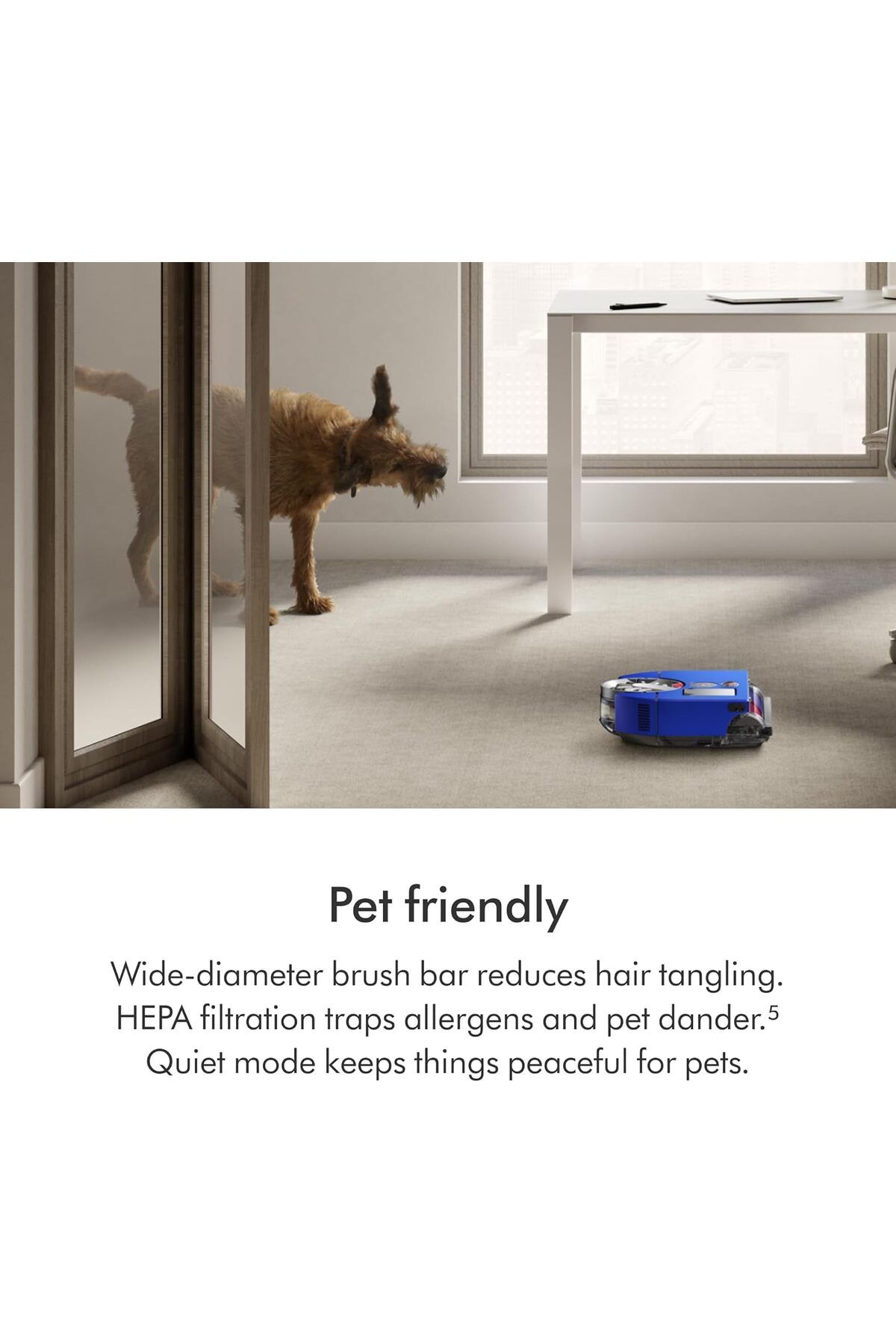 DYSON-360 Heurist - Smart Robot Vacuum 8