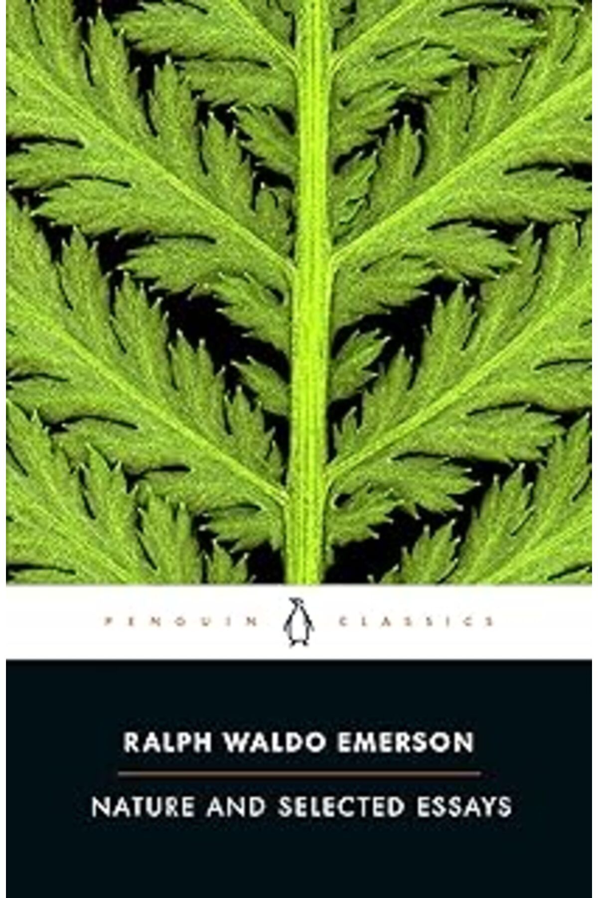 Pazarcan Nature And Selected Essays