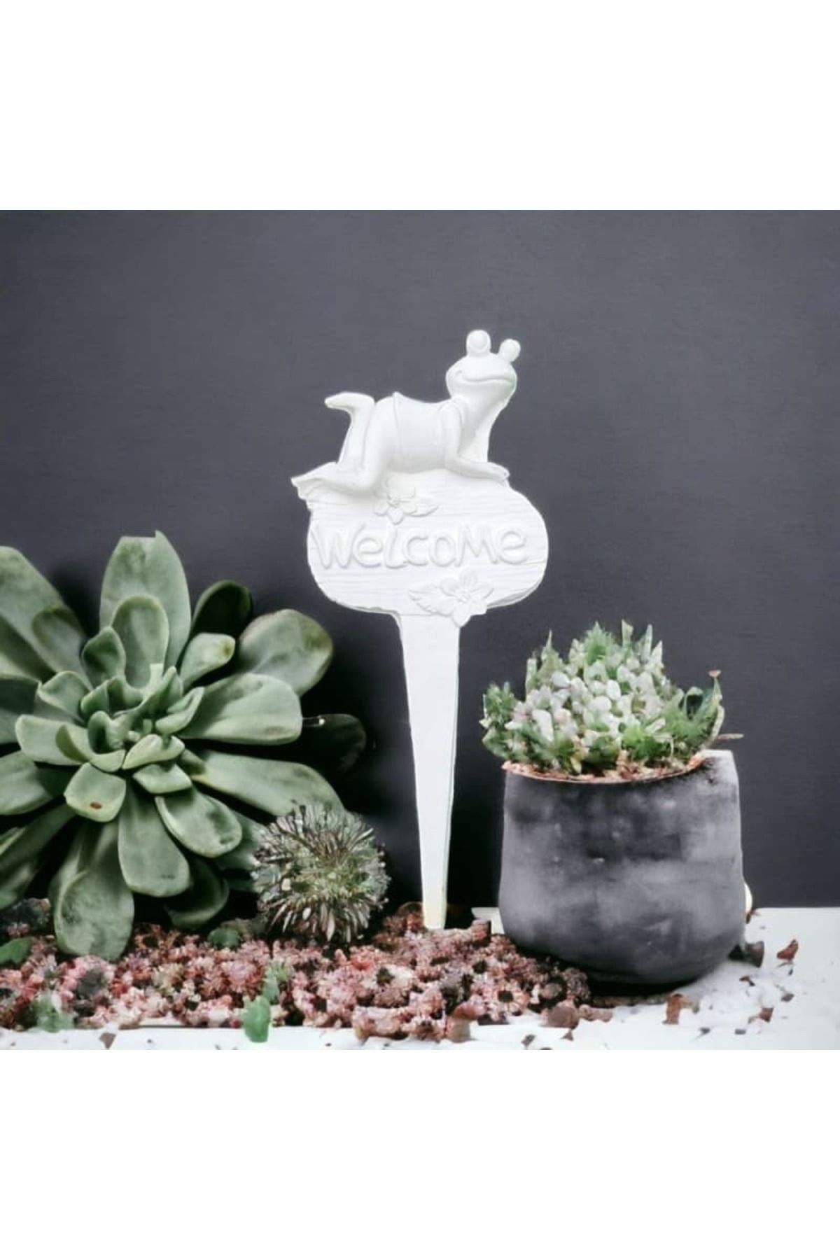 Atölye Kiraz Welcome Kurbağa Saksı Süsü 23x10x2 cm