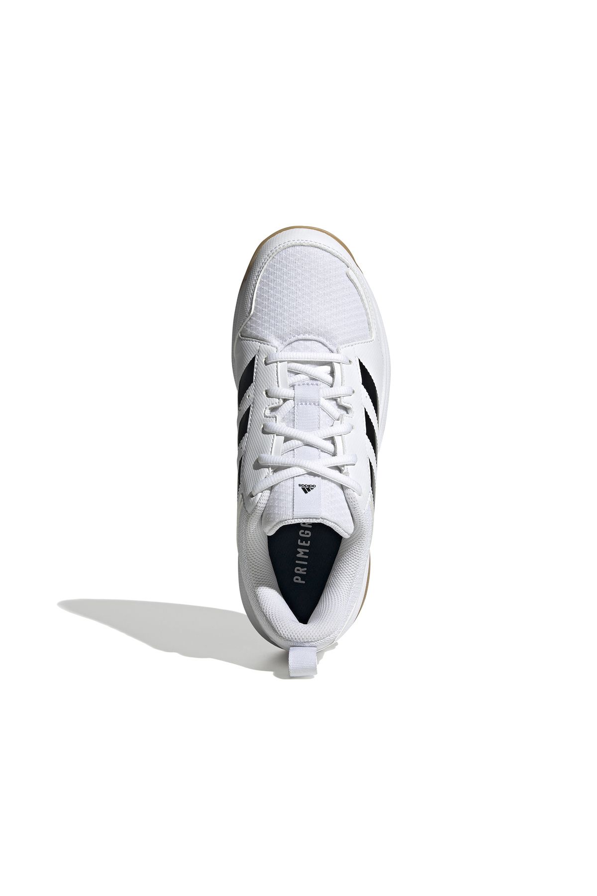 adidas-Pantofi de volei damă colorati Ligra 7 4