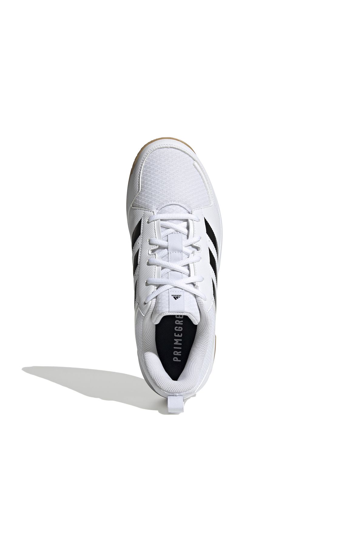 کفش والیبال سفید مردانه Ligra 7 اورجینال adidas