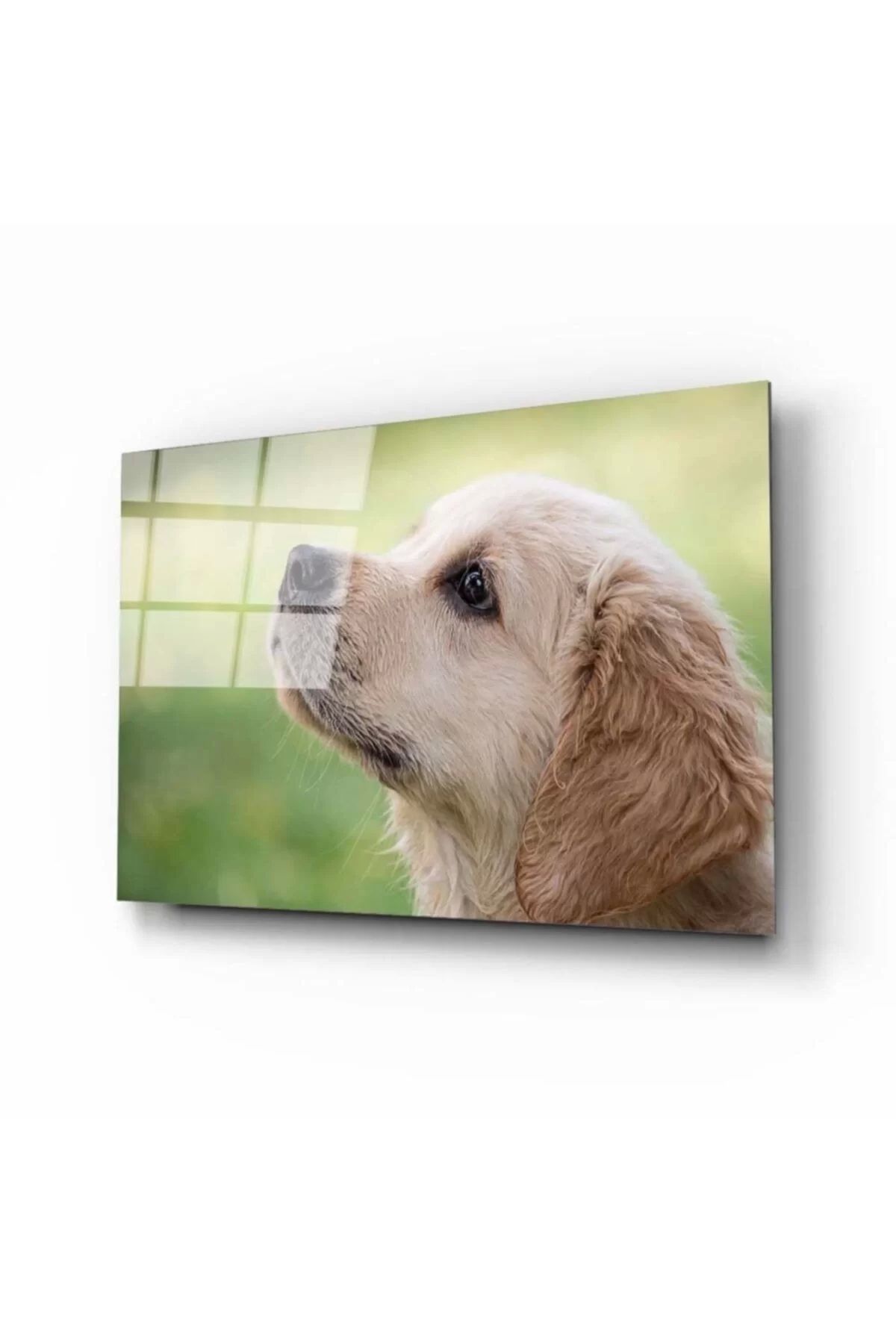 ÖYKÜ VE YİĞİT Köpek 1 Cam Tablo
