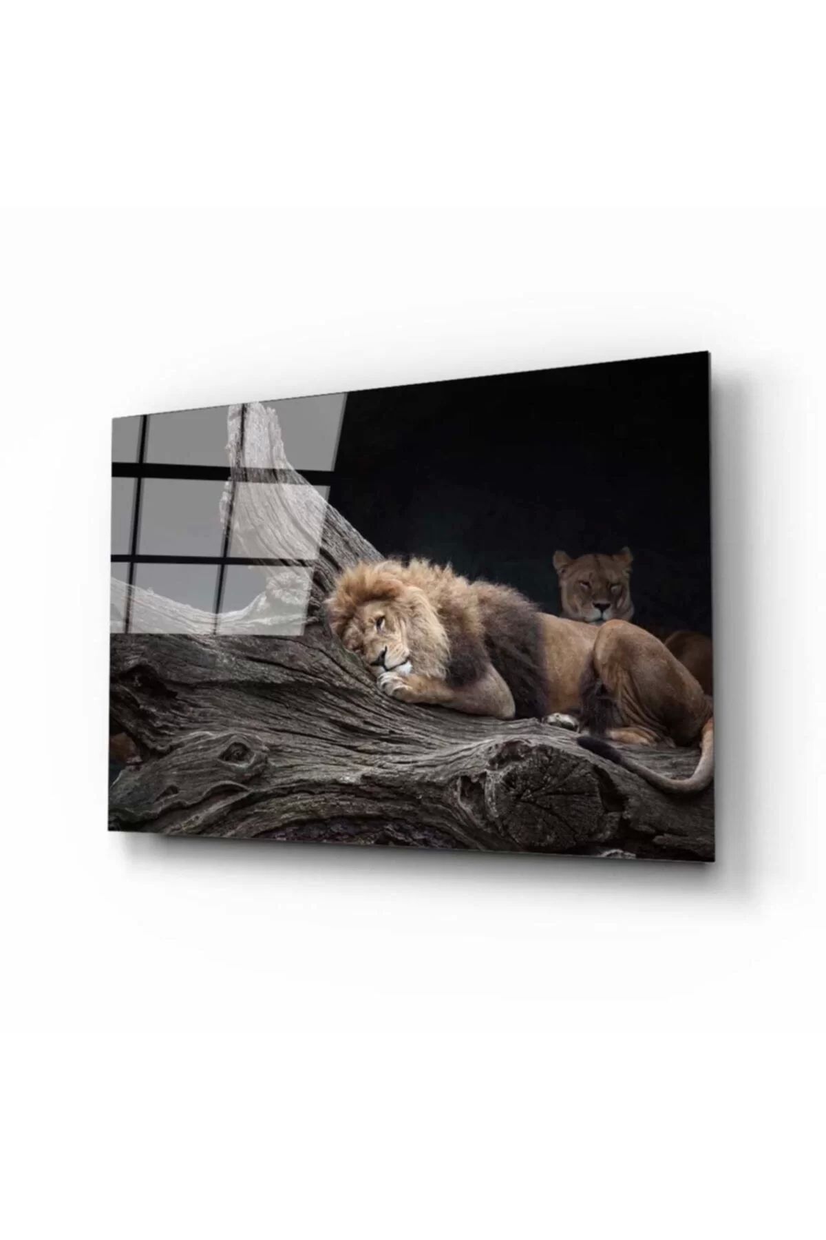 ÖYKÜ VE YİĞİT Aslan Cam Tablo