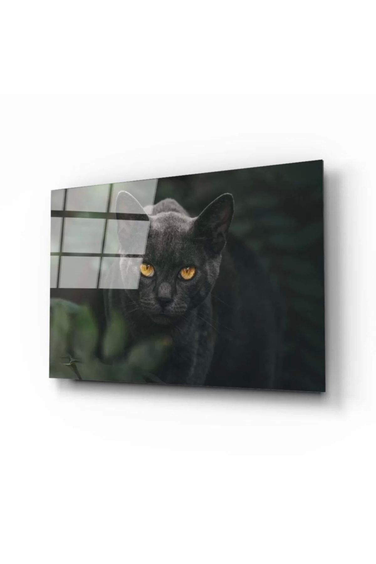 ÖYKÜ VE YİĞİT Siyah Kedi Cam Tablo
