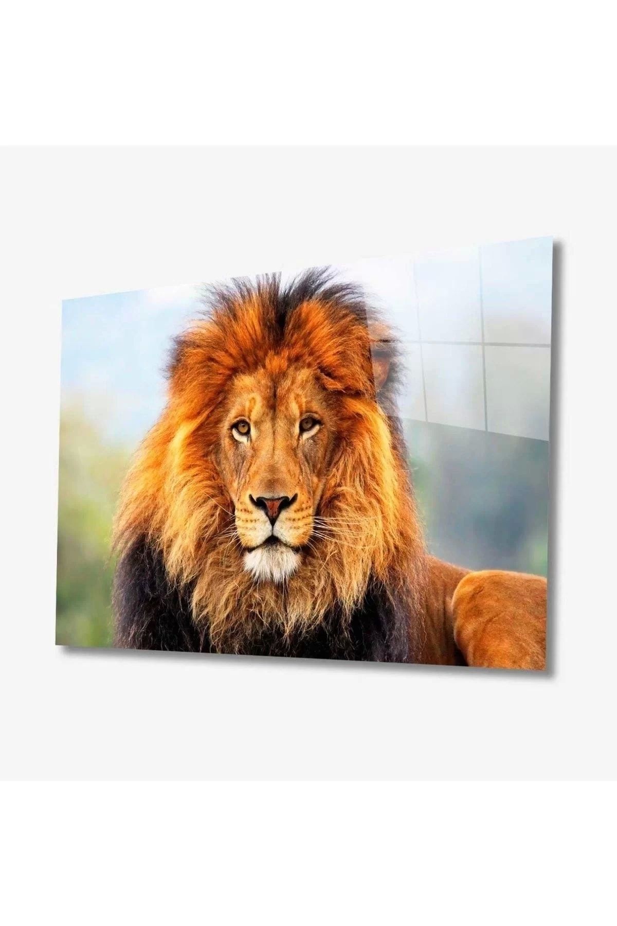 ÖYKÜ VE YİĞİT Aslan Hayvan Cam Tablo 4mm Dayanıklı Temperli Cam