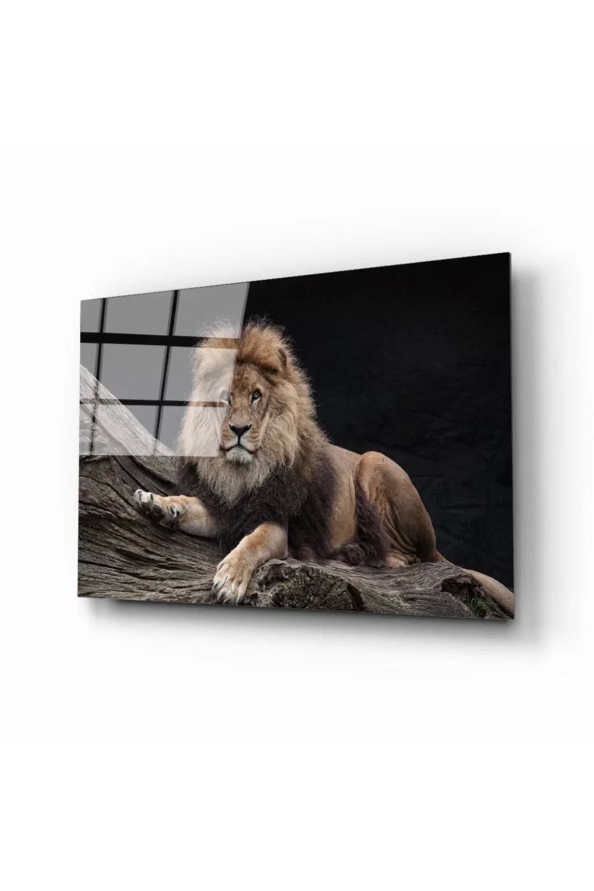 ÖYKÜ VE YİĞİT Aslan 12 Cam Tablo