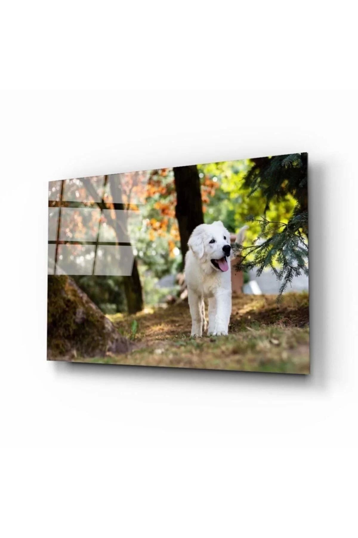 ÖYKÜ VE YİĞİT Köpek Cam Tablo