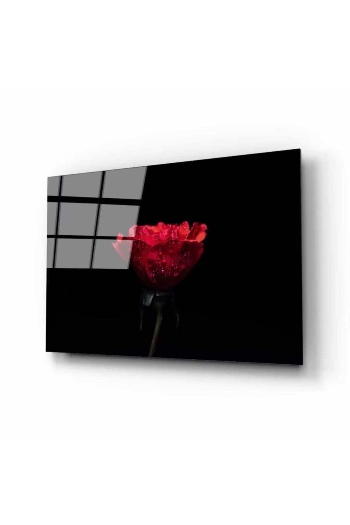 ÖYKÜ VE YİĞİT Damalı Gül Cam Tablo
