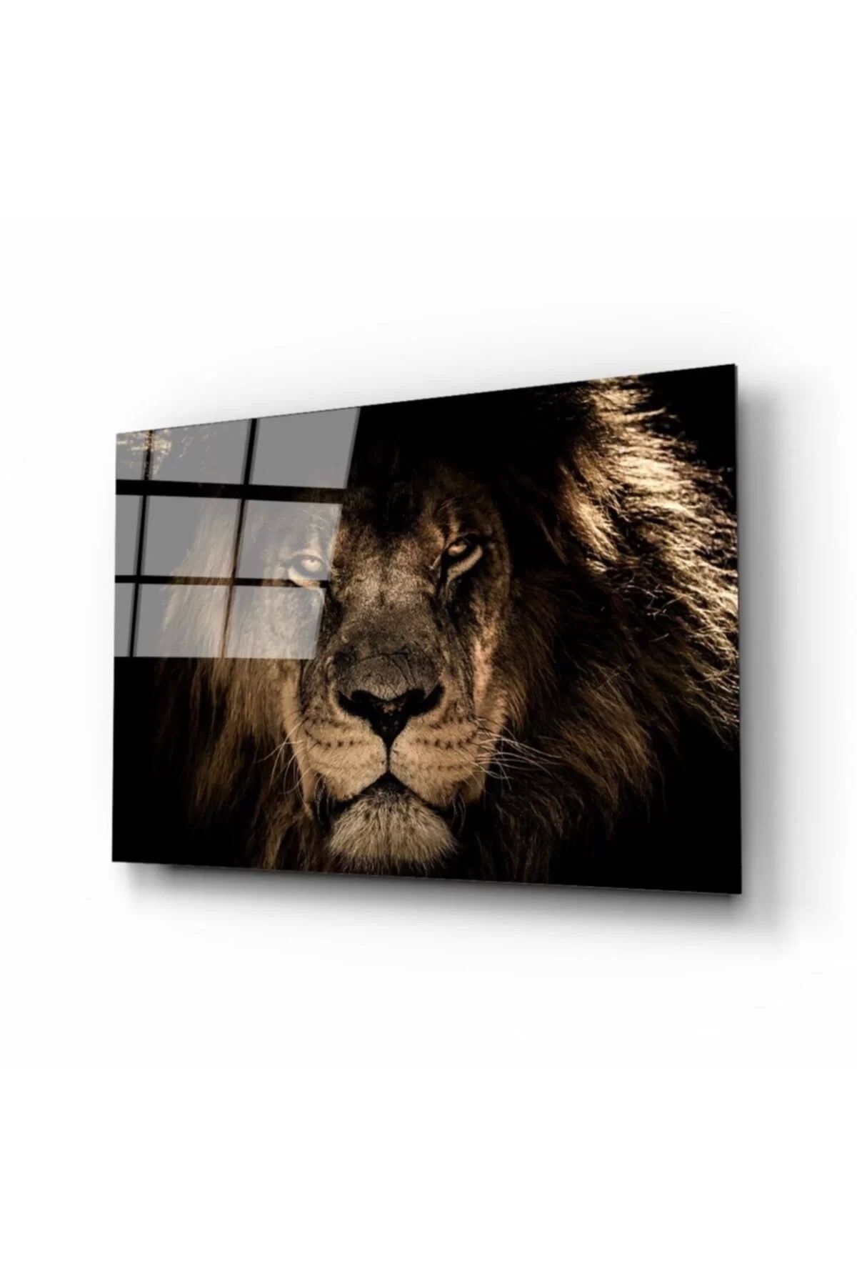 ÖYKÜ VE YİĞİT Aslan 14 Cam Tablo
