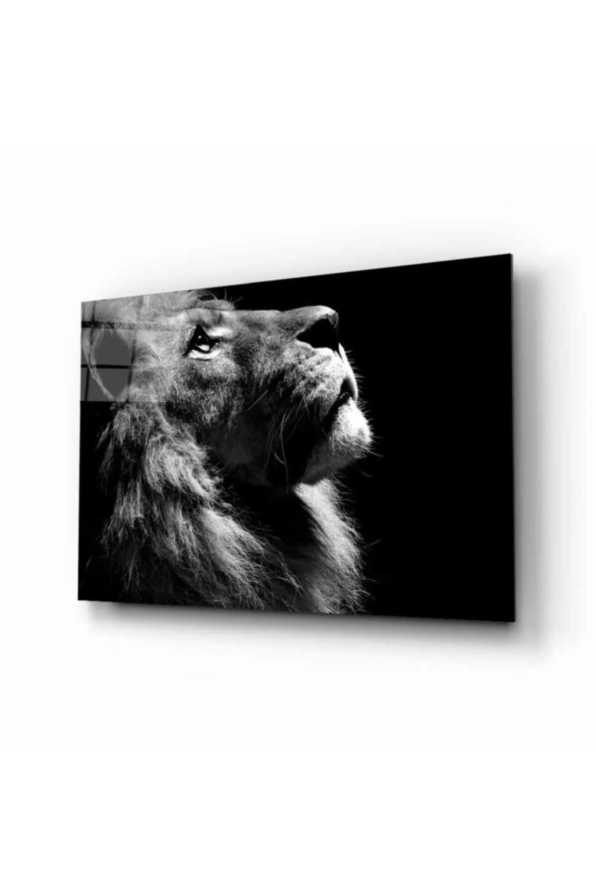 ÖYKÜ VE YİĞİT Aslan 16 Hayvan Cam Tablo