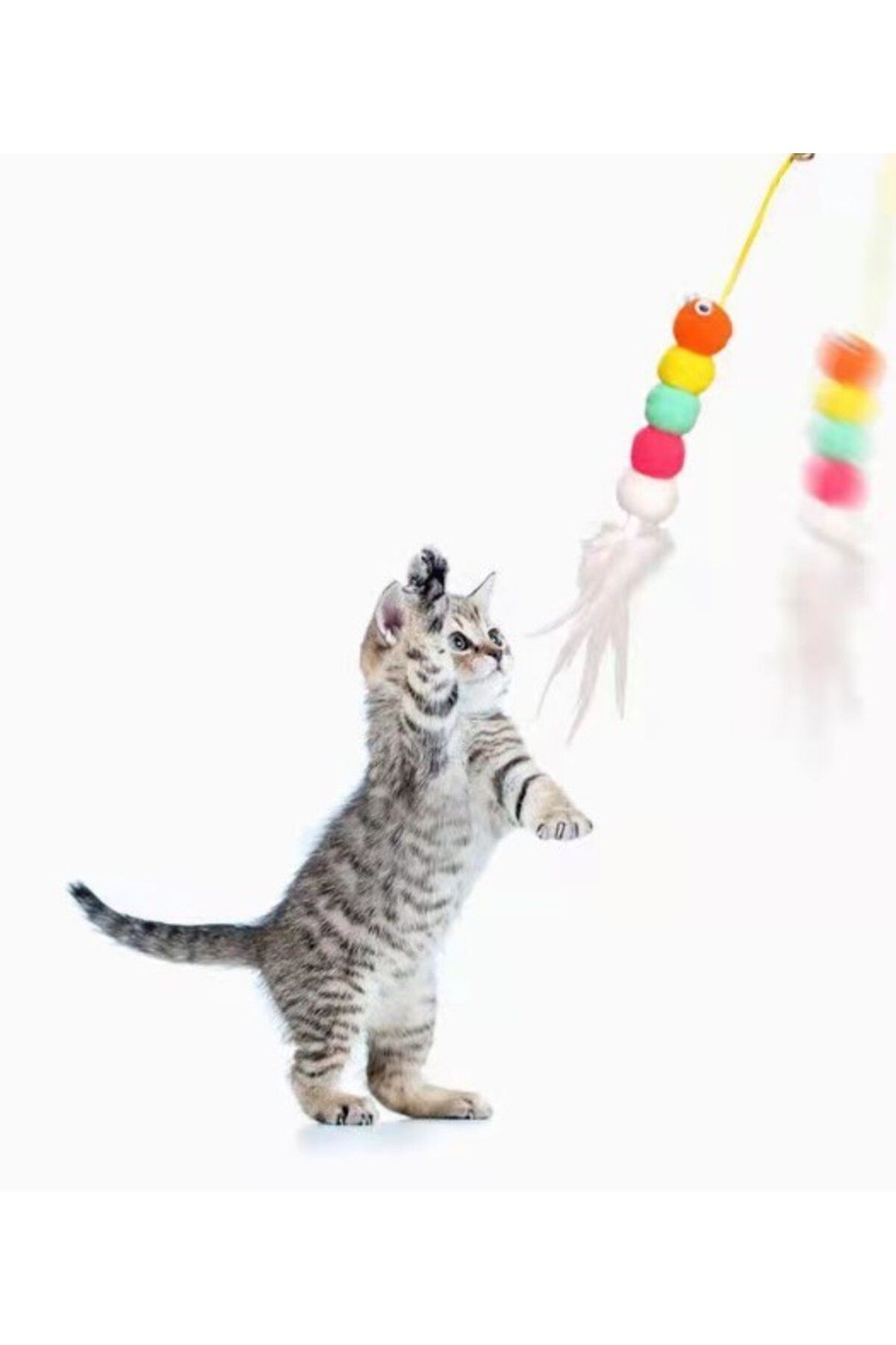 BulutRetail Elastik Yapışkanlı Kedi Oyun Oltası