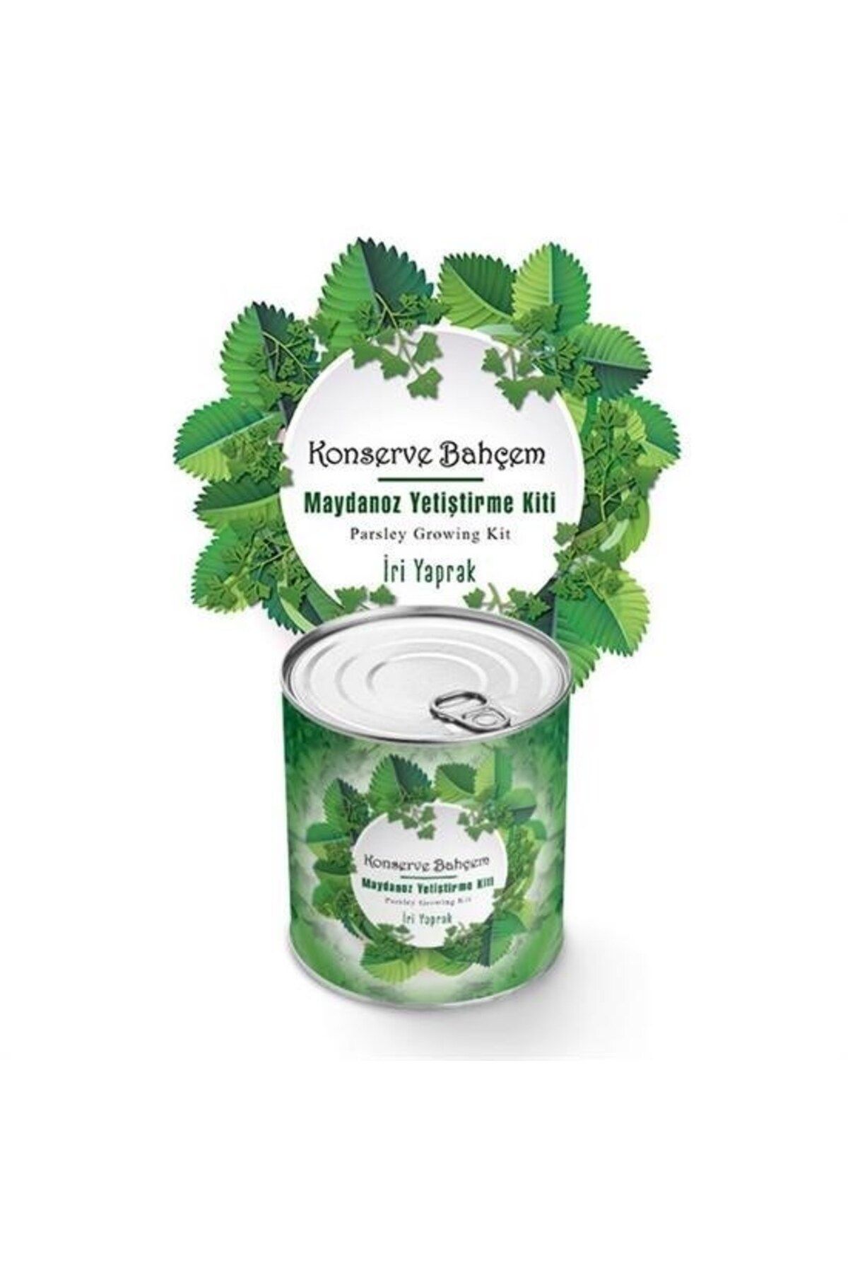 Allproduct ® Konserve Bahçem Evde Konservede İri Maydanoz Yetiştirme Kiti
