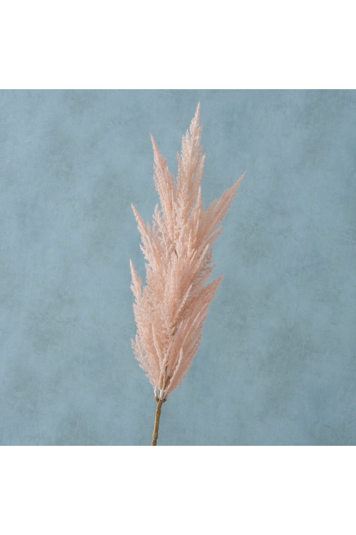 Homelux-Pampas decoration plant 94 cm, light pink 3