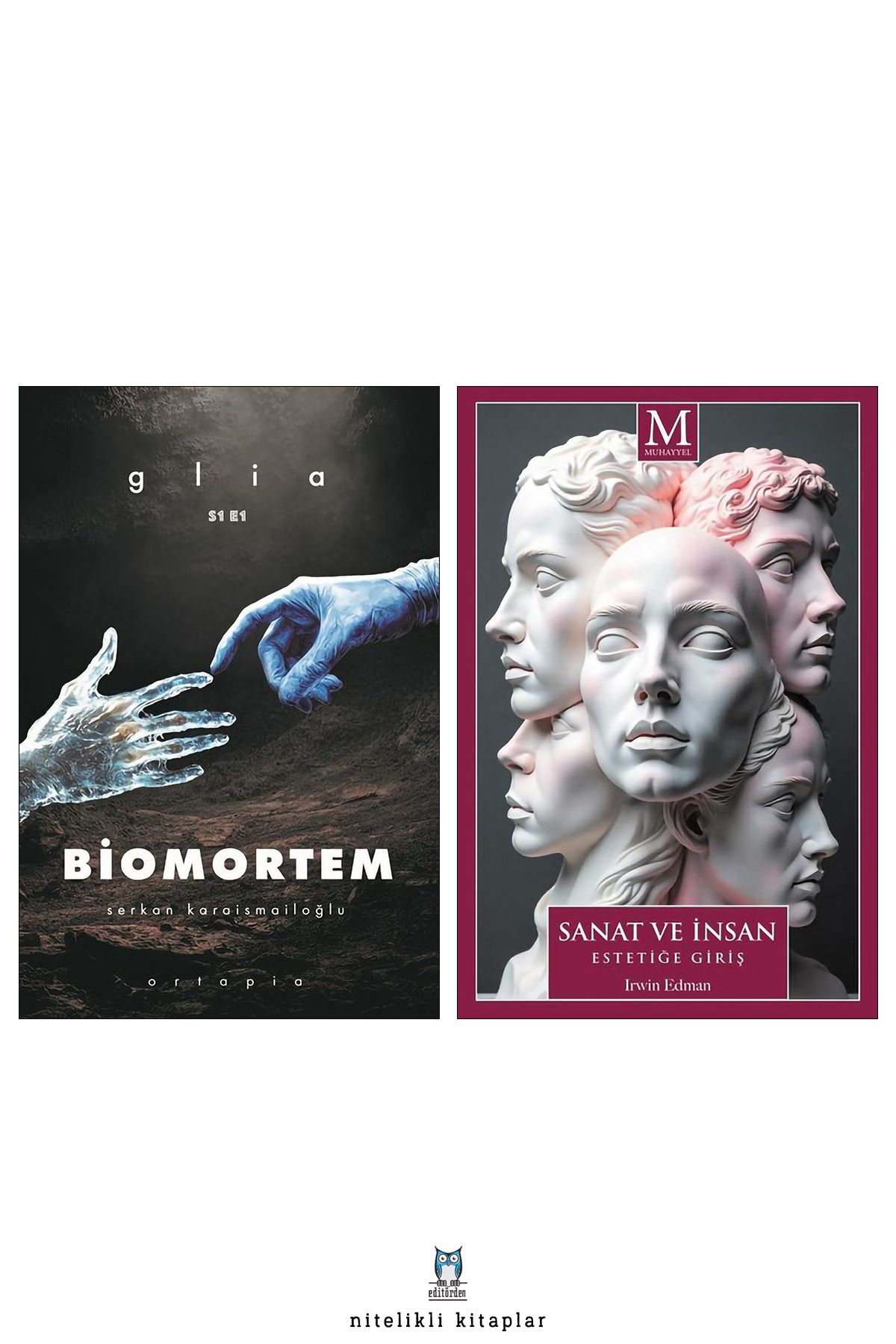 Muhayyel Yayıncılık Biomortem - Sanat ve İnsan Estetiğe Giriş/Irwin Edman