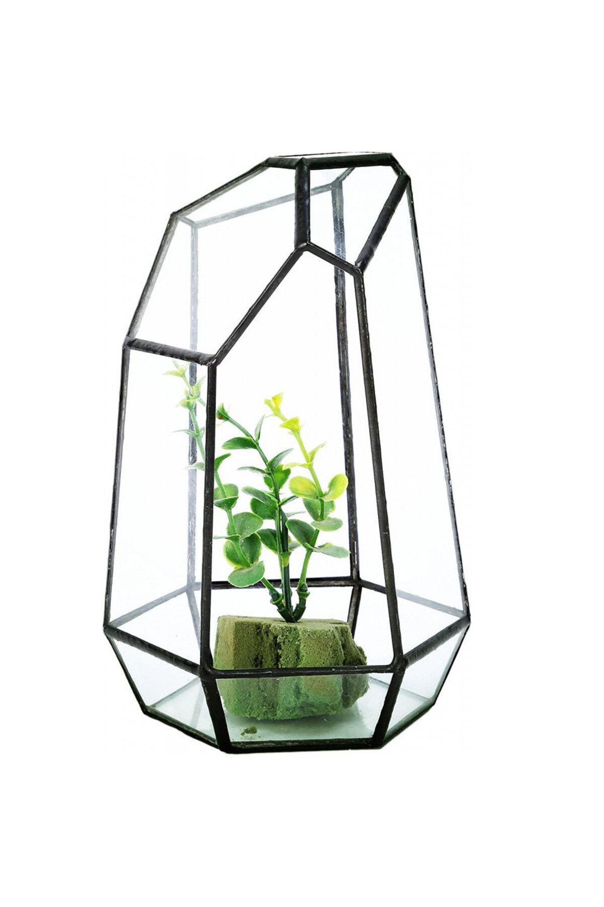 Asvert Ghiveci Decorativ Asvert, Sticla, Transparent, 10,5 X 9 X 15 Cm - One Size