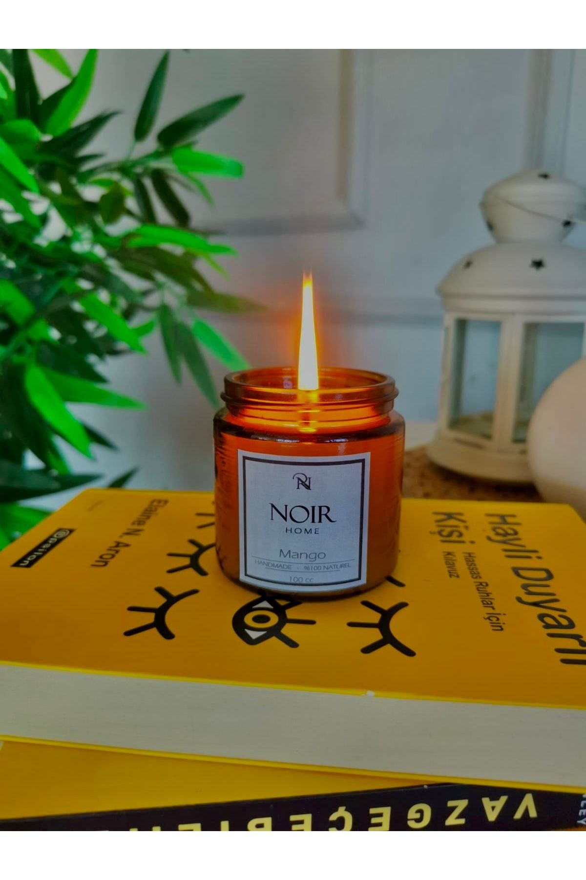 noir boutique PARAFİN MANGO KOKULU MUM 100cc